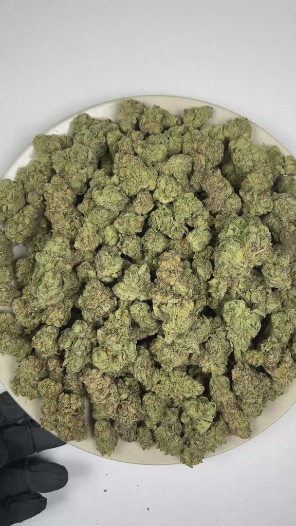 PUFFY Jedi Kush is a lush indica THCa strain crafted from the legendary lineage of Death Star and SFV OG Kush. The aroma is rich with pungent fuel notes, delicate floral nuances, and a distinctive kush character. Visually, dense deep forest green buds with purple hues and fiery orange pistils are coated in sticky trichomes. Consumers often report a euphoric and uplifting experience complemented by creative energy, focused clarity, and a relaxed sense of ease.