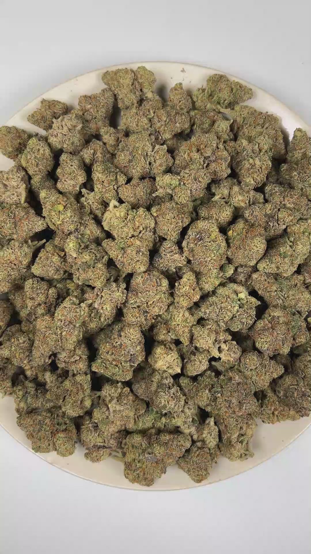PUFFY Gelonade is a sativa-dominant hybrid THCa strain resulting from the expertly blended union of Lemon Tree with Gelato 41. The aroma opens with bright citrus and juicy tropical fruit notes, finishing with a rich, earthy musky undertone. Visually, dense forest green buds with purple hues and fiery orange pistils are coated in sticky trichomes. Consumers often report a bright, uplifting experience with a clear-headed cerebral buzz that boosts creativity, focus, and sociability, all balanced by a gentle, c