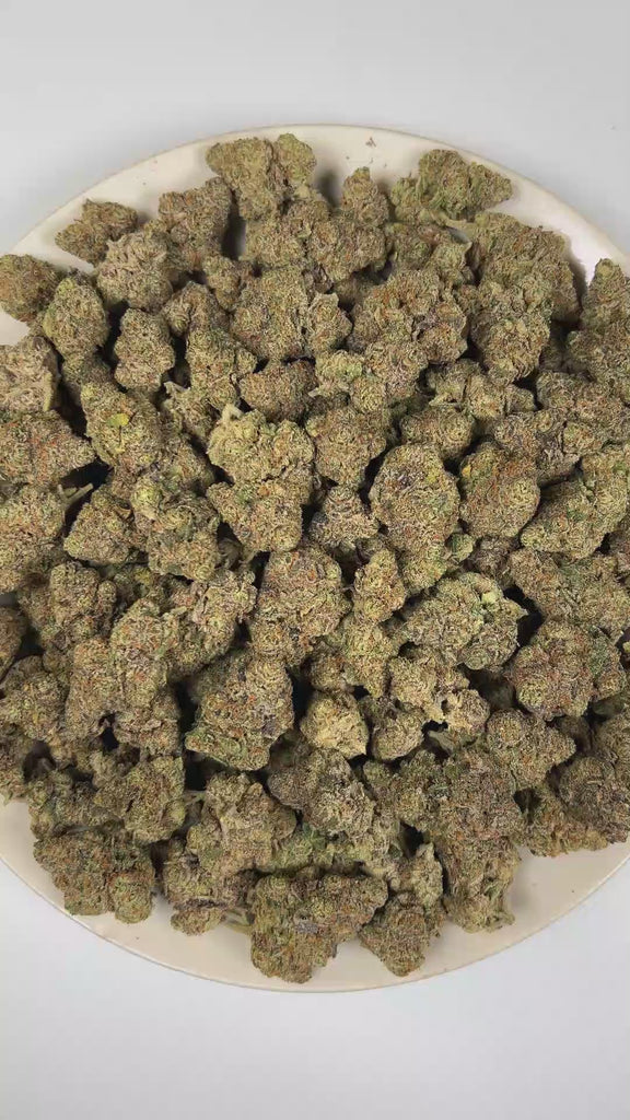 PUFFY Gelonade is a sativa-dominant hybrid THCa strain resulting from the expertly blended union of Lemon Tree with Gelato 41. The aroma opens with bright citrus and juicy tropical fruit notes, finishing with a rich, earthy musky undertone. Visually, dense forest green buds with purple hues and fiery orange pistils are coated in sticky trichomes. Consumers often report a bright, uplifting experience with a clear-headed cerebral buzz that boosts creativity, focus, and sociability, all balanced by a gentle, c