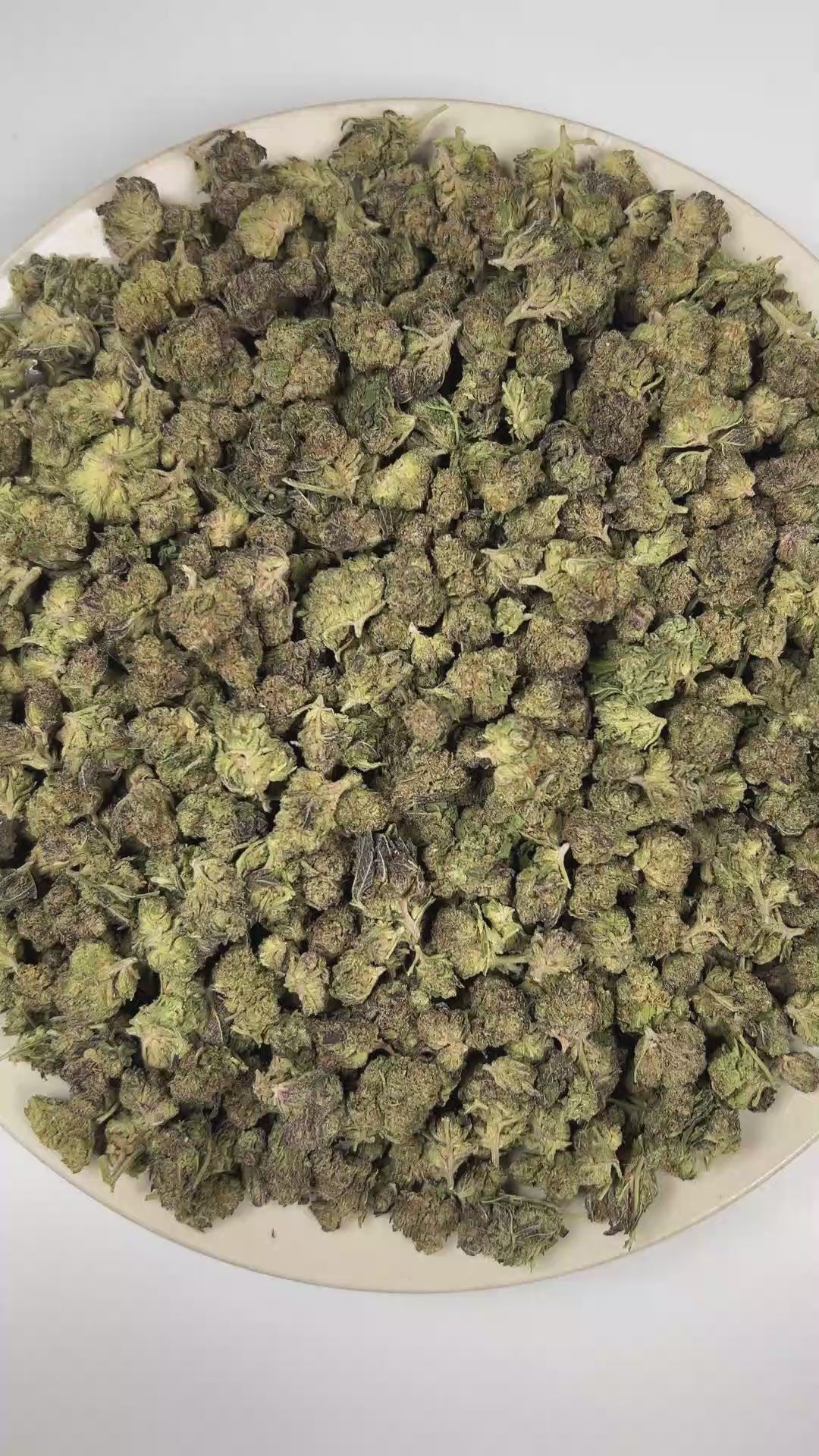 PUFFY Pinnacle (smalls) is a balanced hybrid THCa strain emerging from the distinguished pairing of Slurty 3 and Gush Mints. The aroma is rich with crisp pine and earthy woody notes, finishing with a subtle musky depth. Visually, dense lush green buds with purple hues and fiery orange pistils are coated in sticky trichomes. Consumers often report feeling euphoric and uplifted, with a focused yet deeply relaxed sense of calm. 