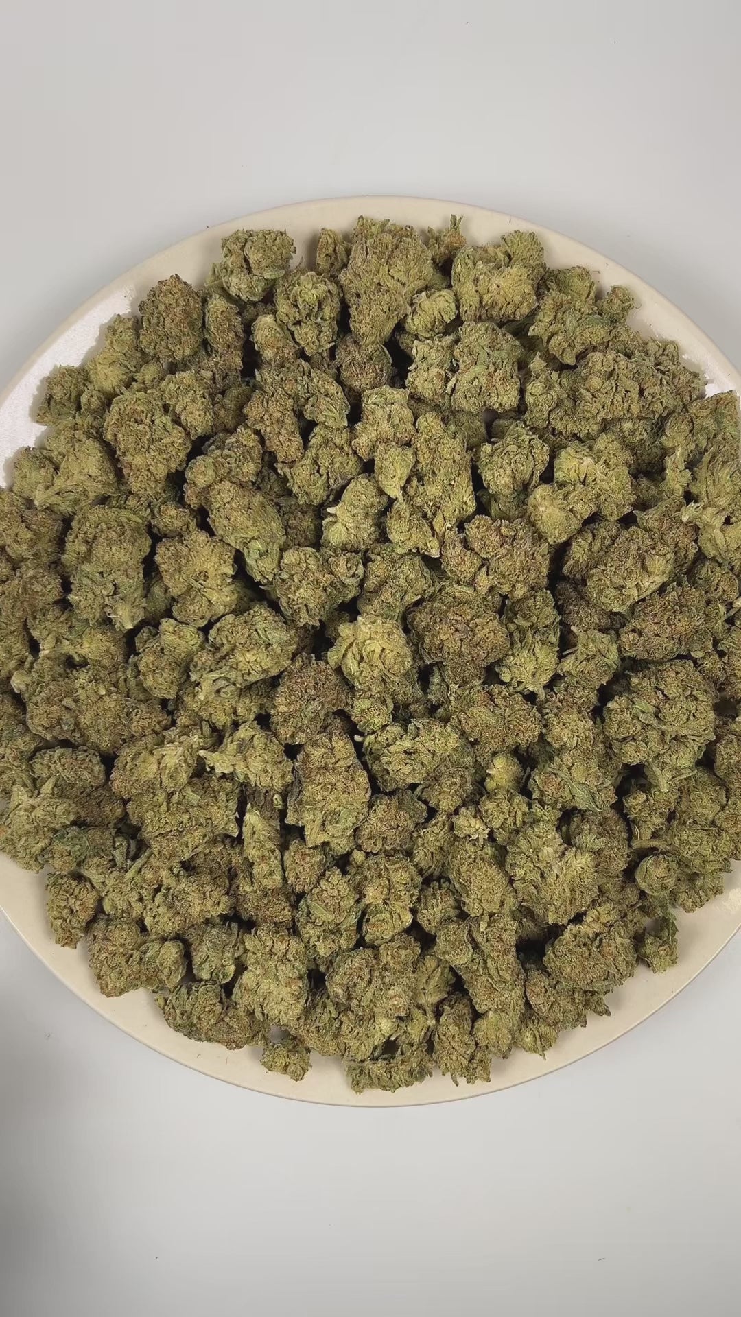 PUFFY Snow Cap is a sativa-dominant hybrid THCa strain bred from the iconic pairing of Snow White and Haze. The aroma is a bold blend of peppery spice, gassy undertones, and rich doughy notes. Visually, dense spring green buds with purple hues and fiery orange pistils are coated in sticky trichomes. Consumers often report feeling euphoric, energetic, uplifted, inspired, and focused, with a noticeable boost in creativity and motivation.