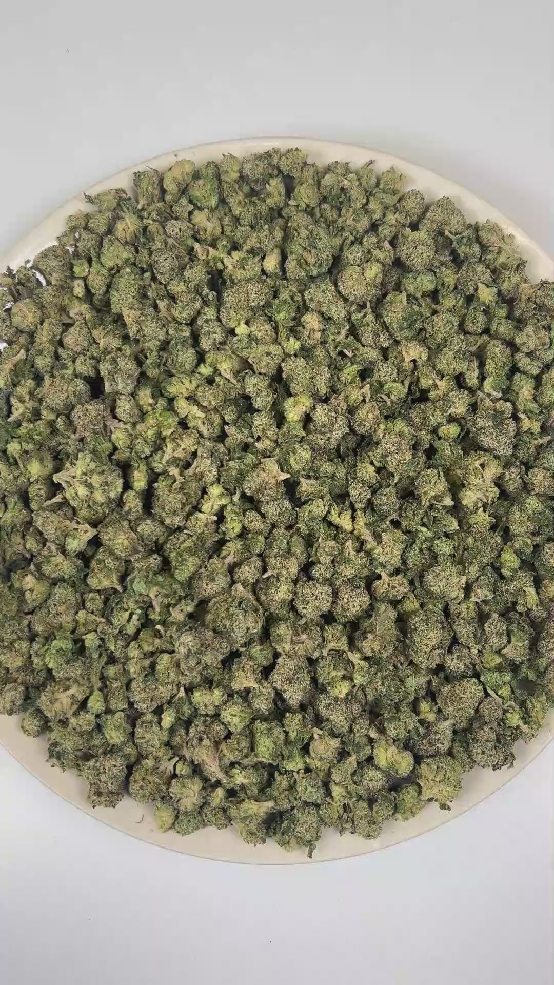 PUFFY Supreme Runtz (smalls) is an indica-dominant hybrid THCa strain, crafted from the powerhouse fusion of (Gucci × Blue Dream × Gorilla Glue) and Forbidden Runtz. The aroma is a rich blend of sweet candy notes layered with pungent gas and a crisp hint of pine. Visually, dense dark green buds with purple hues and fiery orange pistils are coated in sticky trichomes. Consumers often report euphoric, uplifting effects that ease into soothing physical relaxation, promoting a happy, creative, and sociable mood
