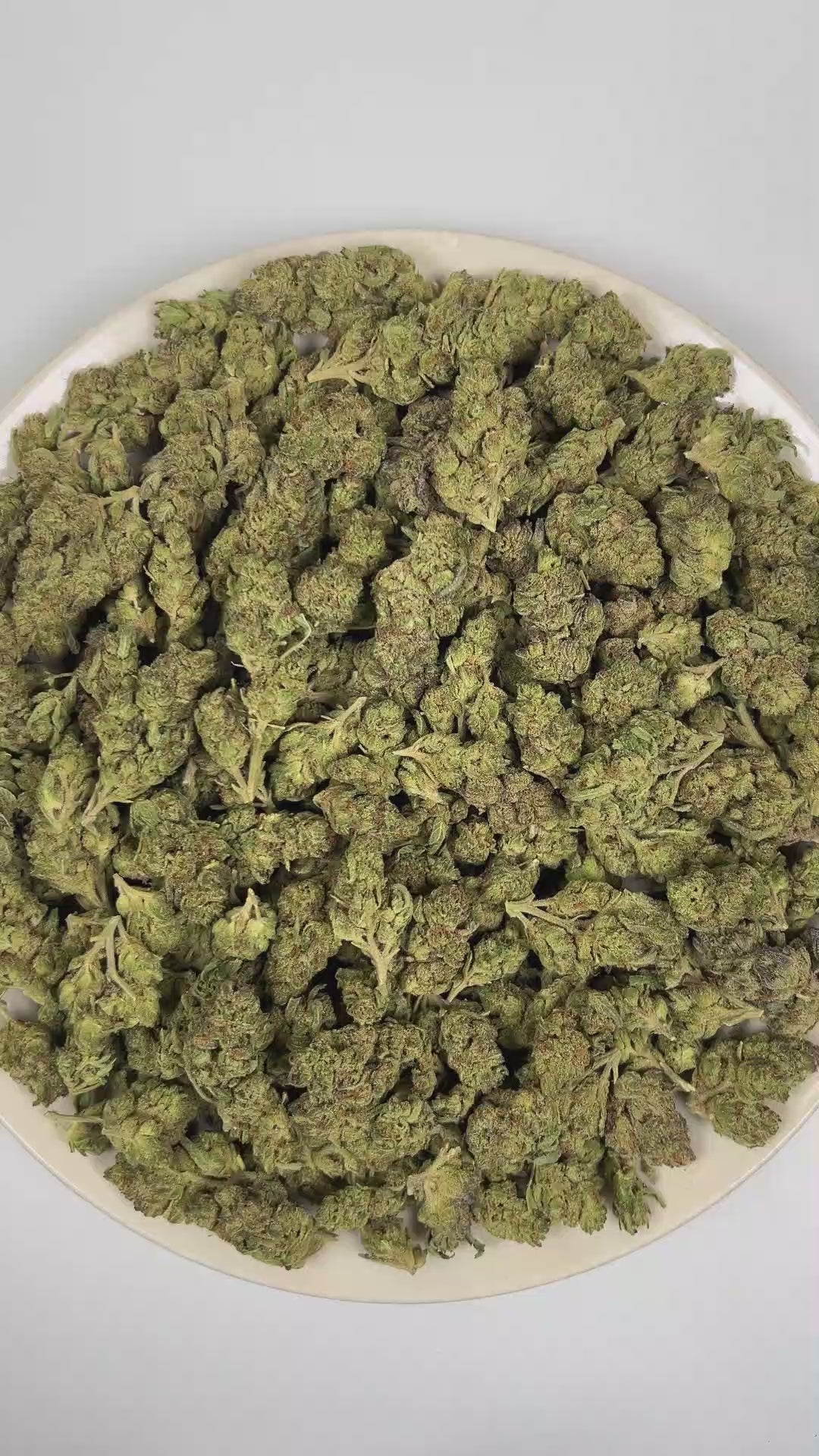 PUFFY Lemonberry is a balanced hybrid THCa strain, shaped through the genetic blending of Dabney Blue with Lemon Thai. The aroma opens with bright, zesty lemon notes that quickly intertwine with juicy, ripe berries, rounded out by a smooth, creamy undertone. Visually, dense forest green buds with purple hues and fiery orange pistils are coated in sticky trichomes. Consumers often report an uplifting wave of euphoria and joy that can lead to lighthearted laughter, along with a motivating burst of energy that