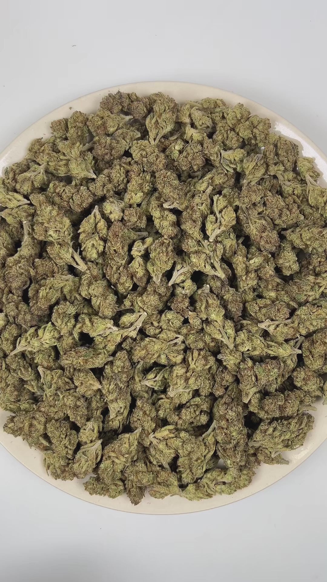 PUFFY Frostitute is an indica-dominant hybrid THCa strain born from G13 and an unknown indica lineage hidden from public records. The aroma opens with a bold, dank intensity, layered with earthy herbal undertones and finished by a crisp, pine-forward freshness. Visually, dense herbal green buds with purple hues and fiery orange pistils are coated in sticky trichomes. Consumers often report an uplifting euphoric state paired with a soothing mental ease and a steady, mood-enhancing effect that brings the mind