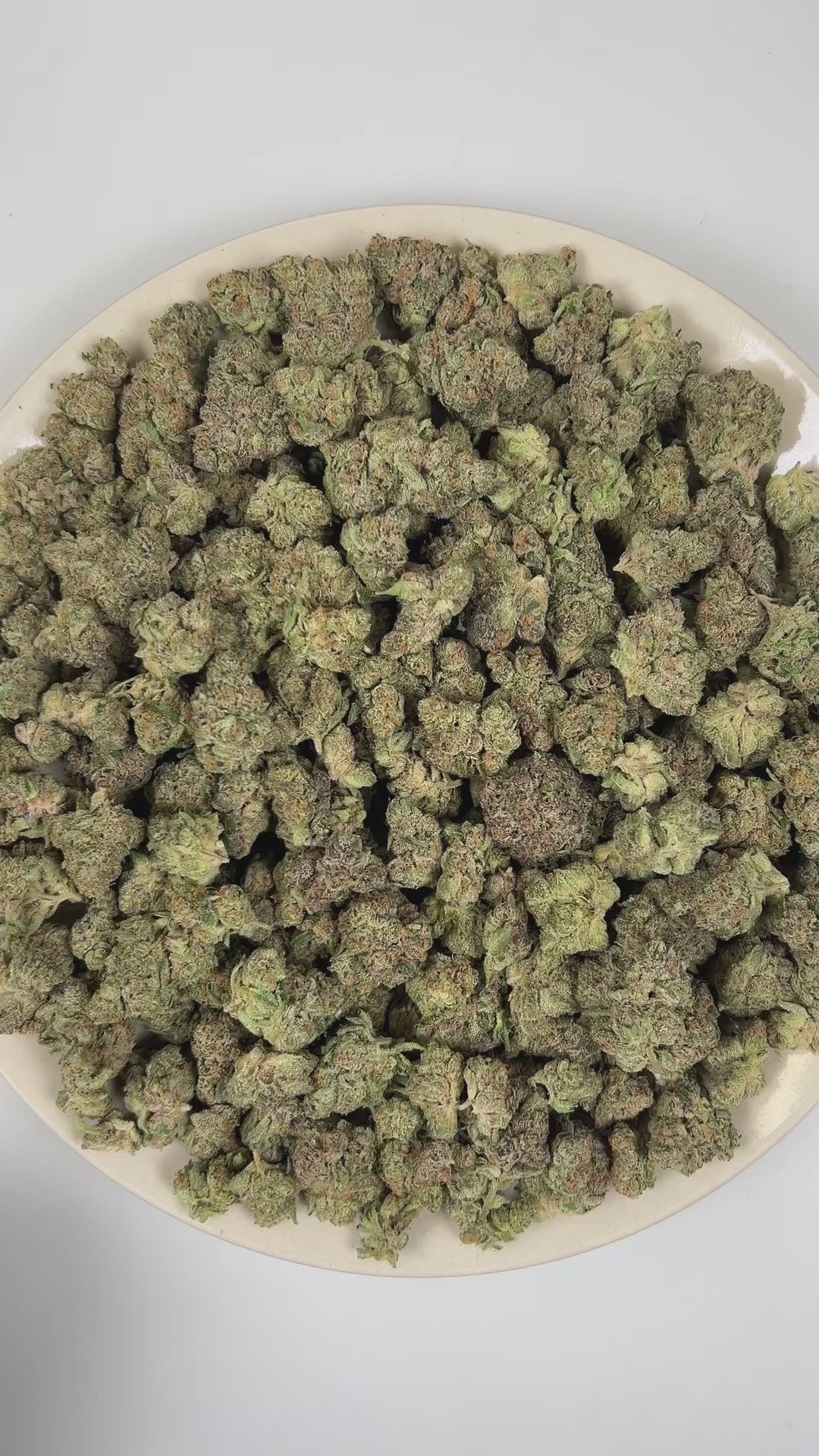 PUFFY Super Boof is a balanced hybrid THCa strain created from the exotic blend of Black Cherry Punch and Tropicana Cookies. The aroma bursts with vibrant notes of grapefruit, lime, and oranges, offering a sharp and juicy citrus character. Visually, it showcases dense, chunky buds in vivid olive green, adorned with fiery orange hairs and cloaked in a sparkling frost of trichomes. Consumers often report effects that are uplifting, euphoric, and creatively stimulating, while also providing a sense of relaxati