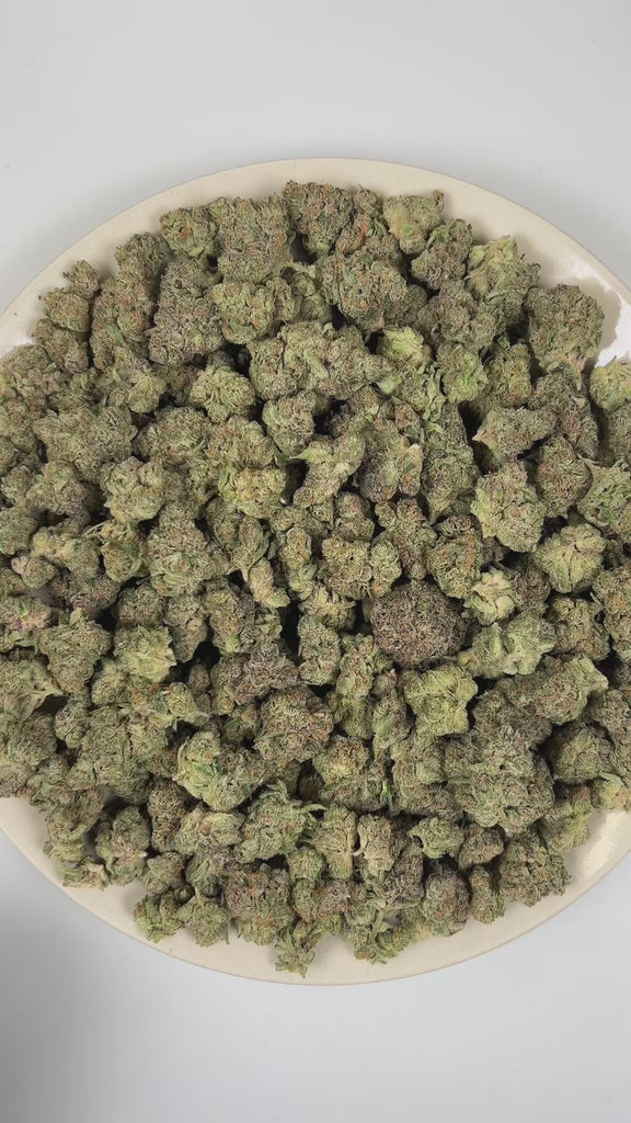 PUFFY Super Boof is a balanced hybrid THCa strain created from the exotic blend of Black Cherry Punch and Tropicana Cookies. The aroma bursts with vibrant notes of grapefruit, lime, and oranges, offering a sharp and juicy citrus character. Visually, it showcases dense, chunky buds in vivid olive green, adorned with fiery orange hairs and cloaked in a sparkling frost of trichomes. Consumers often report effects that are uplifting, euphoric, and creatively stimulating, while also providing a sense of relaxati