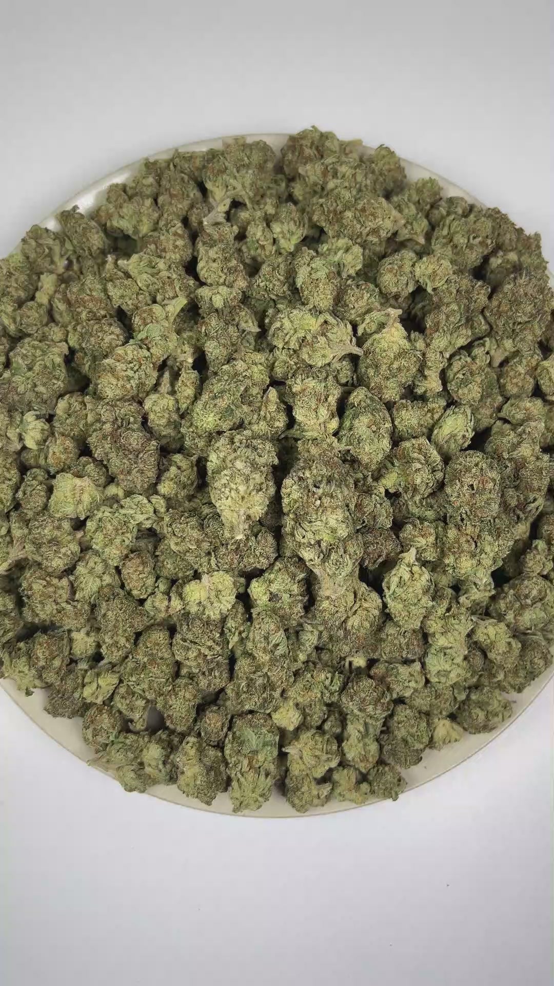 PUFFY White Fire OG is a balanced hybrid THCa strain, crafted from the legendary lineage of Fire OG and The White. The aroma is intensely pungent and gassy, layered with crisp pine notes. Visually, dense forest green buds with hints of purple, bright orange pistils, and a thick coating of sparkling trichomes. Consumers often report a balanced wave of euphoria with uplifting energy, enhanced focus, and a smooth sense of relaxation.