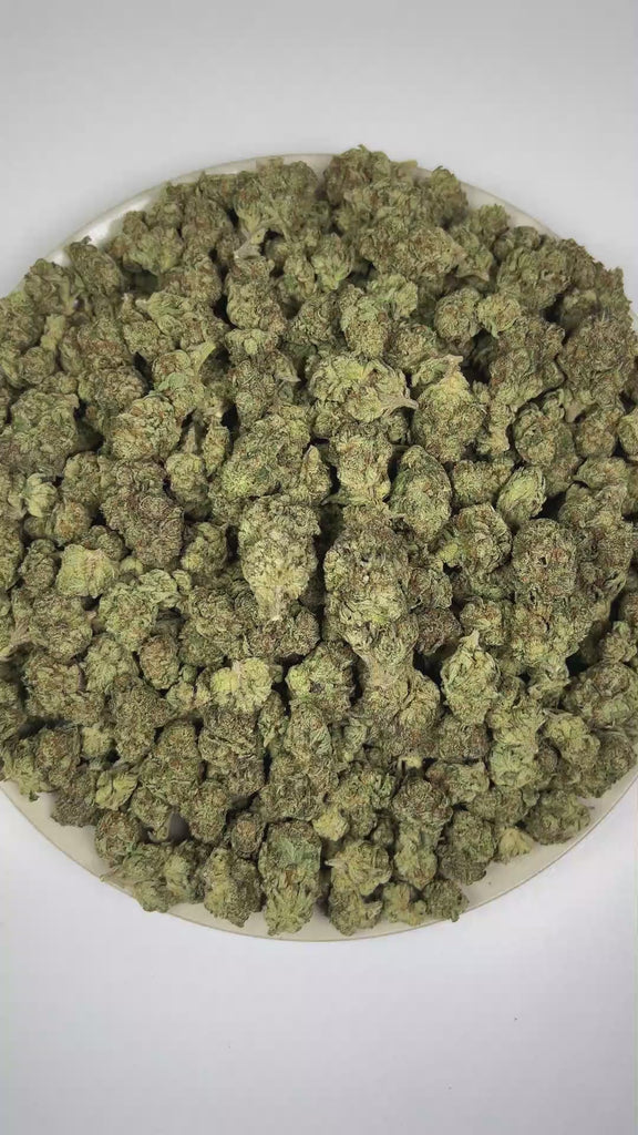 PUFFY White Fire OG is a balanced hybrid THCa strain, crafted from the legendary lineage of Fire OG and The White. The aroma is intensely pungent and gassy, layered with crisp pine notes. Visually, dense forest green buds with hints of purple, bright orange pistils, and a thick coating of sparkling trichomes. Consumers often report a balanced wave of euphoria with uplifting energy, enhanced focus, and a smooth sense of relaxation.