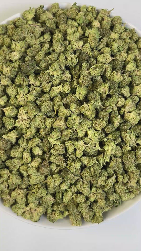 PUFFY Apple Tree (smalls) is a sativa-dominant THCa hybrid, expertly crafted from a cross between Apple Fritter and Lemon Haze. The aroma is incredibly juicy, fruity, and sweet, bursting with lush apple notes and a candy-like finish that lingers on the senses. Visually, the buds are dense and tightly packed, showcasing vibrant green tones intertwined with fiery orange pistils and coated in a thick layer of sparkling trichomes that give them a frosted, crystal-like sheen. Consumers often describe it as a smo
