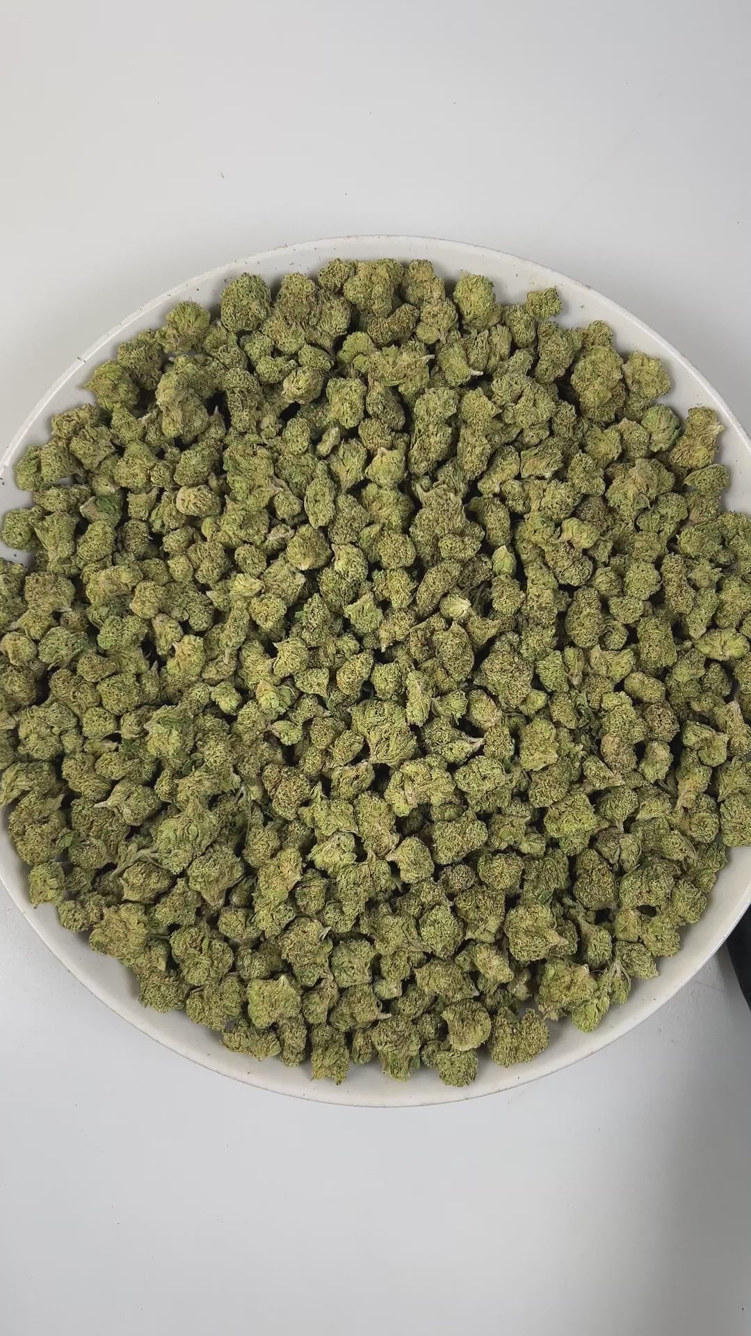 PUFFY Super Runtz (smalls) is a hybrid THCa strain, expertly crafted from a potent cross between Super Lemon Cherry Gelato and Runtz. The aroma bursts with sweet candy notes, zesty lime, and a distinct, gassy undertone for a bold and tantalizing scent profile. Visually, the buds feature chunky or elongated forms in deep green and purple, lit with orange pistils and coated in sugar-like frosty trichomes. Consumers often report an uplifting wave of euphoria that brightens the mood, gradually melting into deep