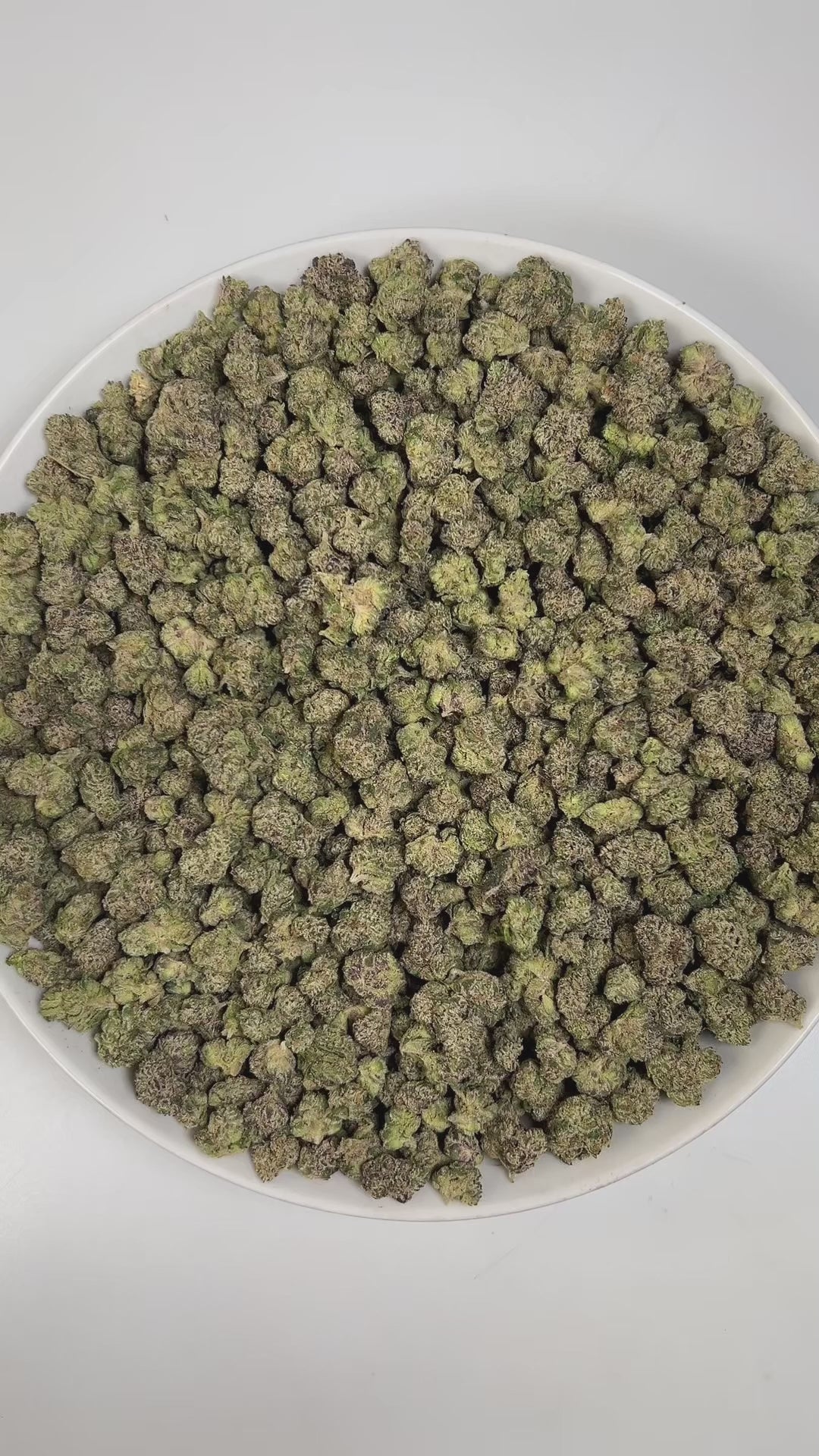 PUFFY Blue Nerdz (smalls) is a balanced hybrid THCa strain, born from the fusion of Forbidden Fruit and Watermelon Z. The aroma is a vibrant blend of sweet blueberries, sharp diesel, and sugary candy, creating a tantalizing and memorable scent experience. Visually, it features compact, bulbous buds in green and deep purple hues, highlighted by orange pistils and a thick frost of trichomes. Consumers often report an uplifting cerebral rush marked by bright euphoria, enhanced mood, and inspired creativity tha