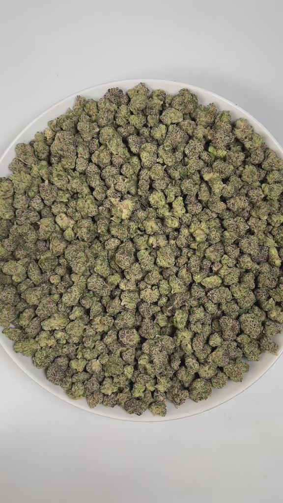 PUFFY Blue Nerdz (smalls) is a balanced hybrid THCa strain, born from the fusion of Forbidden Fruit and Watermelon Z. The aroma is a vibrant blend of sweet blueberries, sharp diesel, and sugary candy, creating a tantalizing and memorable scent experience. Visually, it features compact, bulbous buds in green and deep purple hues, highlighted by orange pistils and a thick frost of trichomes. Consumers often report an uplifting cerebral rush marked by bright euphoria, enhanced mood, and inspired creativity tha