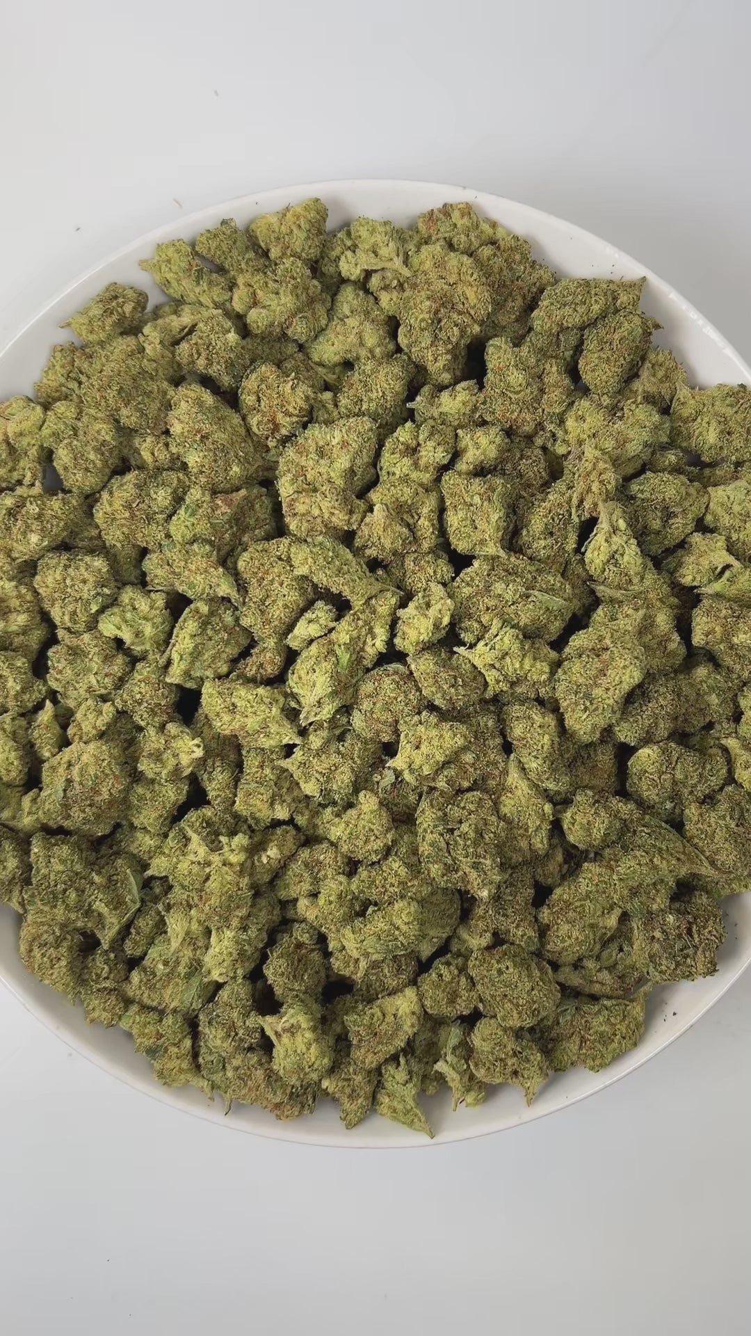 PUFFY Lilac Diesel is a balanced hybrid THCa strain, crafted from the legendary lineage of (Silver Lemon Haze × Forbidden Fruit) × (NYC Cherry Pie × Citral Glue). The aroma bursts with vibrant notes of zesty yuzu and fresh lime, layered over a sharp, chemical undertone that adds a bold, pungent edge. Visually, the dense buds display forest-green tones with deep purple hues, vibrant orange pistils, and a frosty trichome coating. Consumers often report feeling euphoric and uplifted, experiencing a wave of hap