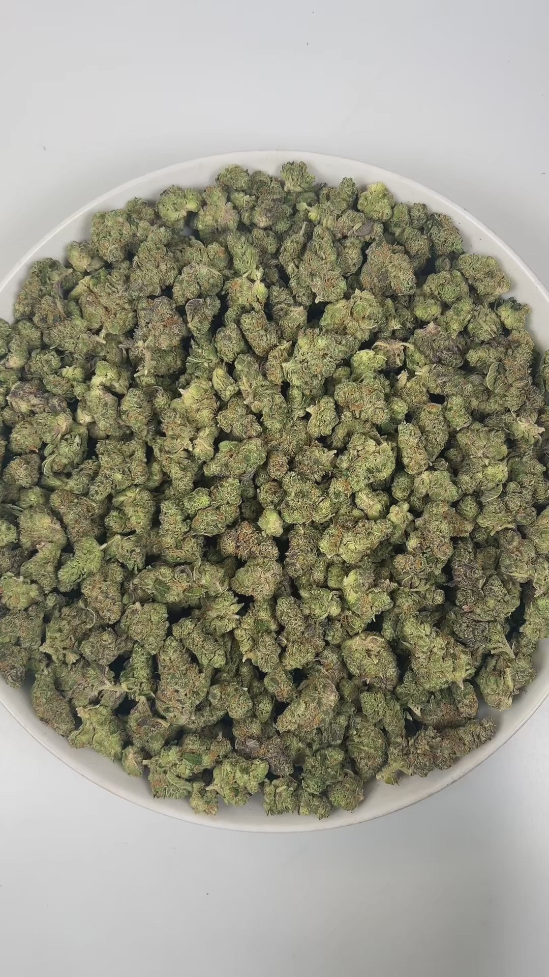 PUFFY Pine OG (smalls) is a sativa-dominant hybrid THCa strain meticulously developed with a captivating complexity, often rumored to draw inspiration from OG Kush. The aroma opens with sharp notes of pine and refreshing eucalyptus, layered over a distinct, lingering gassy undertone. Visually, dense forest green buds with purple hues and fiery orange pistils are coated in sticky trichomes. Consumers often report a euphoric, uplifting sensation that sparks creativity, sharpens focus, and elevates mood.