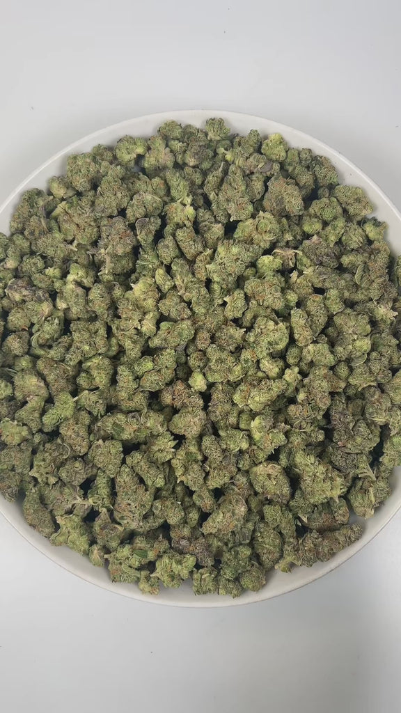 PUFFY Pine OG (smalls) is a sativa-dominant hybrid THCa strain meticulously developed with a captivating complexity, often rumored to draw inspiration from OG Kush. The aroma opens with sharp notes of pine and refreshing eucalyptus, layered over a distinct, lingering gassy undertone. Visually, dense forest green buds with purple hues and fiery orange pistils are coated in sticky trichomes. Consumers often report a euphoric, uplifting sensation that sparks creativity, sharpens focus, and elevates mood.