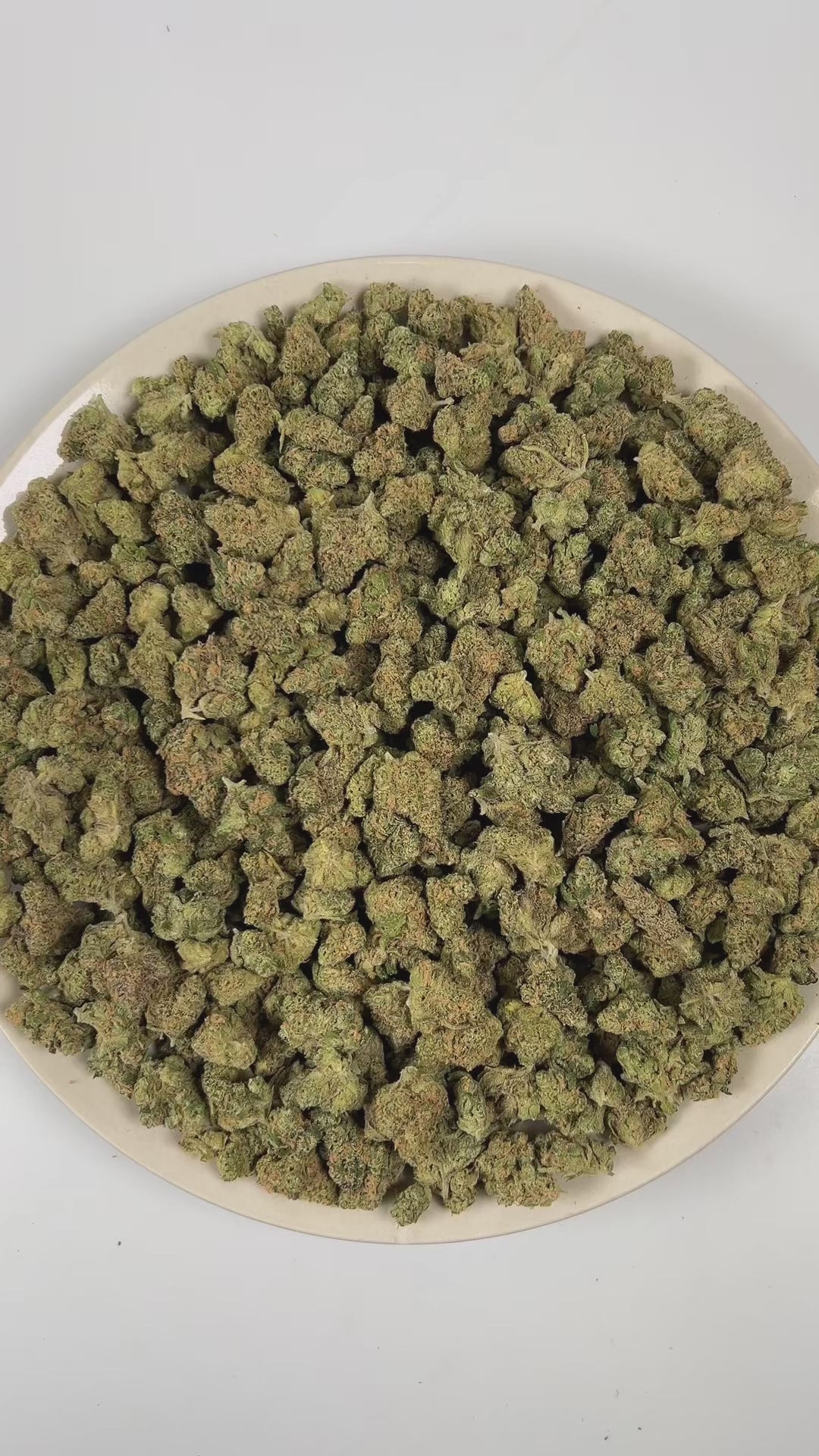 PUFFY Blue Dream (smalls) is a sativa-dominant hybrid THCa strain, crafted from the lush pairing of Blueberry and Haze. The aroma is dominated by ripe blueberry sweetness, complemented by gassy undertones and a sharp, chemical edge. Visually stunning, its dense, bright green buds are accented by deep blue hues, fiery orange pistils, and a generous dusting of icy trichomes making it as eye-catching as it is effective. Consumers often report a euphoric, uplifting head high that flows into a gentle, motivating