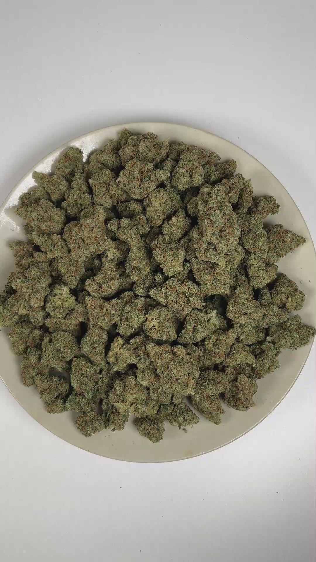 PUFFY Jack Herer is a sativa-dominant hybrid THCa strain, bred from a legendary three‑way genetic cross of Northern Lights #5, Shiva Skunk, and Haze. The aroma is a refreshing blend of bright citrus and crisp pine, complemented by warm, earthy spices. Visually, dense green buds with purple hues and fiery orange pistils are coated in sticky trichomes. Consumers often report euphoric, energetic, focused, and uplifting sensations, along with potential relief from stress and anxiety and a noticeable boost in cr