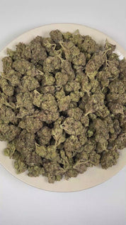 PUFFY Pink Runtz is a well-balanced hybrid THCa strain derived from the skillfully blended cross of Original Z and Gelato. The aroma opens with vibrant fruity sweetness, layered with pungent fuel notes and bold chemical undertones. Visually, dense deep forest green buds with purple hues and fiery orange pistils are coated in sticky trichomes. Consumers frequently describe the experience as starting with a cerebral rush that brings a wave of euphoria and an uplifted mood, gradually transitioning into a calmi