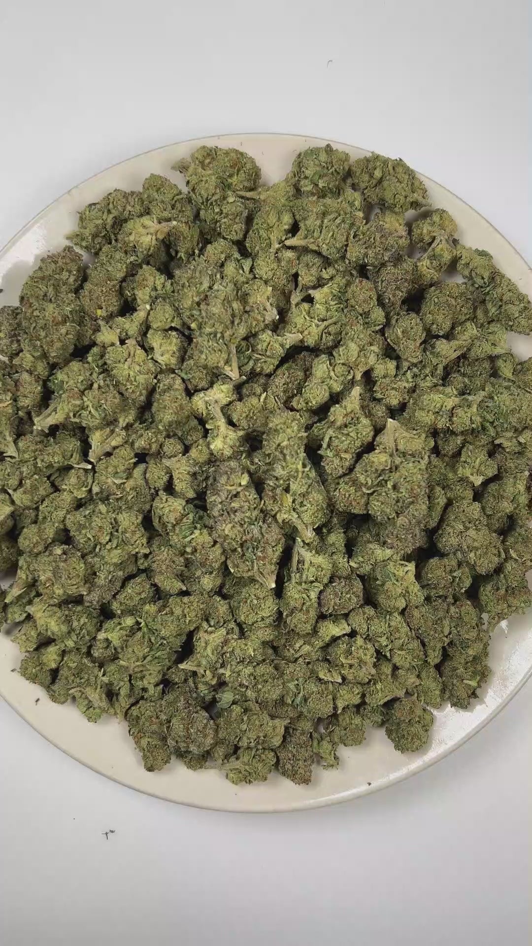 PUFFY Jokerz is an indica-dominant hybrid THCa strain developed from the distinctive combination of White Runtz and Jet Fuel Gelato. The aroma is a bold blend of chemical and gassy notes, complemented by a sweet, fruity finish of ripe berries. Visually, dense forest green buds with purple hues and fiery orange pistils are coated in sticky trichomes. Consumers often report feeling euphoric and focused while maintaining a relaxed, balanced state of mind. 
