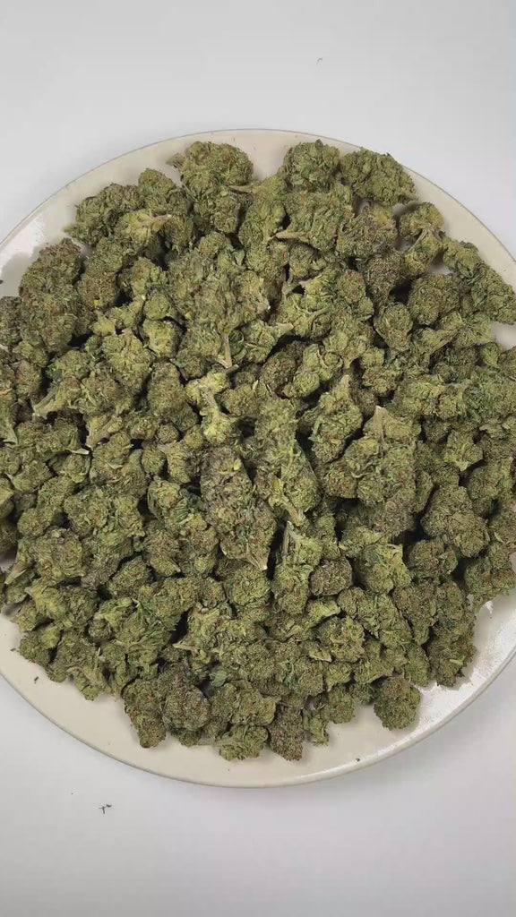PUFFY Jokerz is an indica-dominant hybrid THCa strain developed from the distinctive combination of White Runtz and Jet Fuel Gelato. The aroma is a bold blend of chemical and gassy notes, complemented by a sweet, fruity finish of ripe berries. Visually, dense forest green buds with purple hues and fiery orange pistils are coated in sticky trichomes. Consumers often report feeling euphoric and focused while maintaining a relaxed, balanced state of mind. 