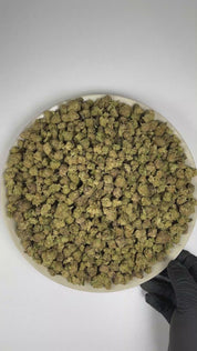 PUFFY Tequila Sunrise (smalls) is a balanced hybrid THCa strain with an undocumented genetic lineage, as its specific parent strains have not been confirmed. The aroma is a vibrant blend of bright citrus and lush tropical fruit notes, finished with a pungent, gassy undertone. Visually, the dense buds display rich forest-green tones with hints of purple, accented by vibrant orange pistils and enveloped in a frosty layer of trichomes. Consumers often report a bright, euphoric mood accompanied by invigorating 