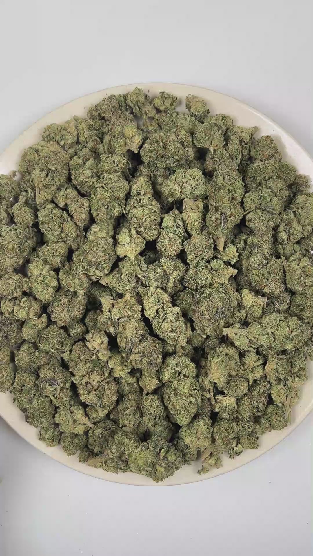 PUFFY White Runtz is a balanced hybrid THCa strain developed through the genetic pairing of Gelato and Original Z. The aroma features rich savory notes with a hearty, umami-like depth, complemented by warm nutty undertones and pungent onion accents. Visually, the buds are dense and frosty, showcasing vibrant green hues with occasional purple accents, all coated in a thick layer of white trichomes. Consumers frequently describe experiencing a euphoric and uplifting sensation, accompanied by an improved mood 