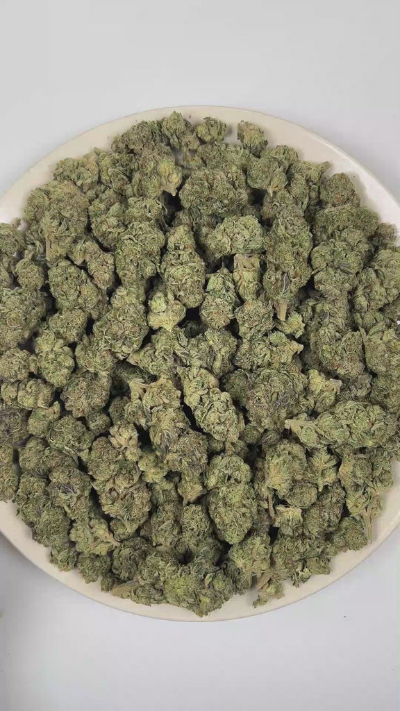 PUFFY White Runtz is a balanced hybrid THCa strain developed through the genetic pairing of Gelato and Original Z. The aroma features rich savory notes with a hearty, umami-like depth, complemented by warm nutty undertones and pungent onion accents. Visually, the buds are dense and frosty, showcasing vibrant green hues with occasional purple accents, all coated in a thick layer of white trichomes. Consumers frequently describe experiencing a euphoric and uplifting sensation, accompanied by an improved mood 