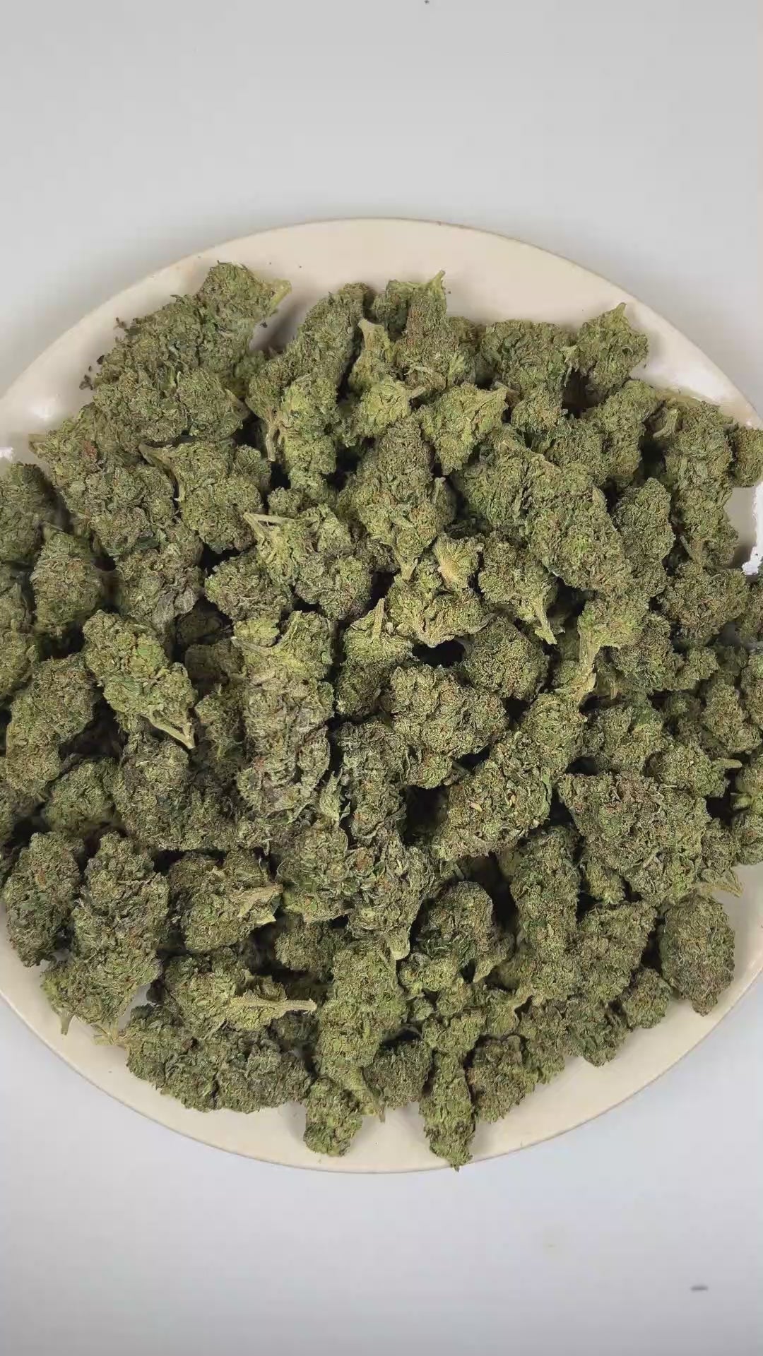 PUFFY Grape Fritter is a balanced hybrid THCa strain derived from the potent genetic collaboration of Grape Ape × Apple Fritter × Jet A. The aroma opens with sweet, juicy berries layered with ripe fruit notes, finishing with a bold, pungent gassy undertone. Visually, dense deep forest green buds with purple hues and fiery orange pistils are coated in sticky trichomes. Consumers often report a euphoric uplift that inspires a creative mindset, promotes a relaxed body sensation, and leaves them feeling calm an