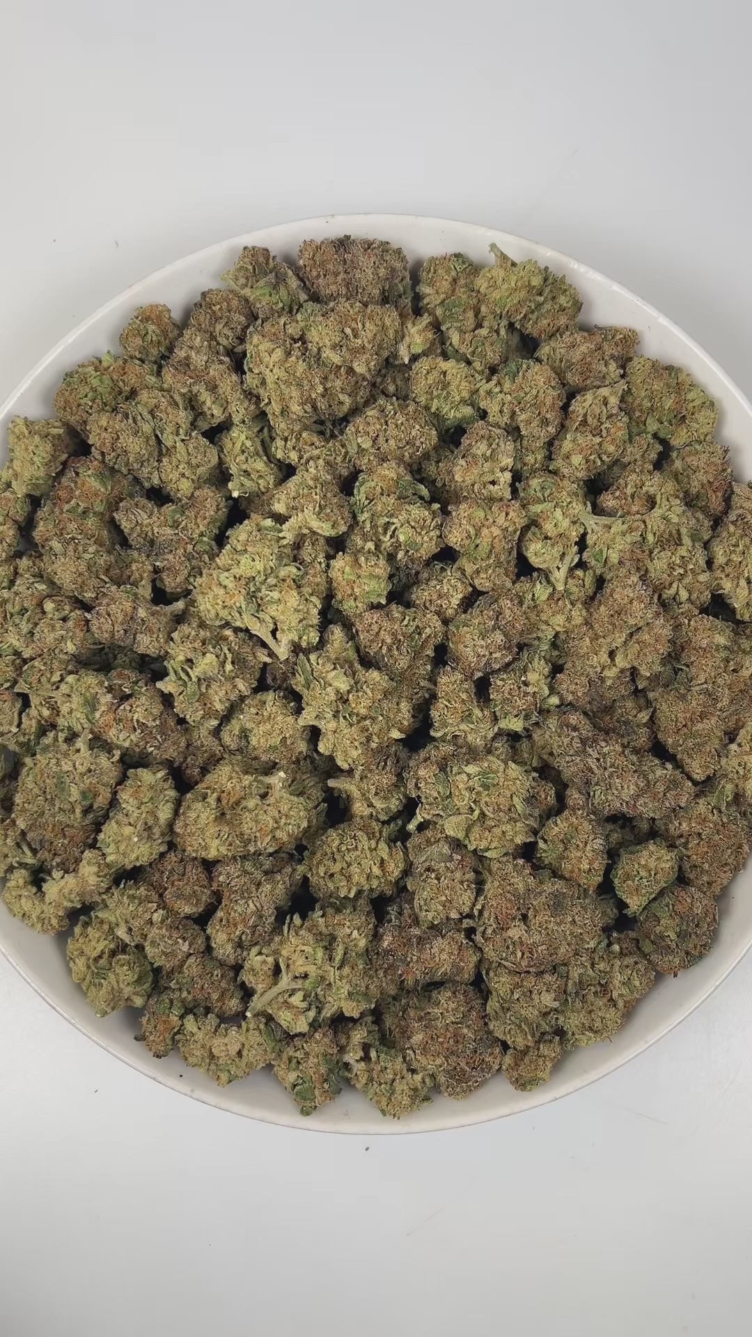PUFFY Poddy Mouth is a balanced hybrid THCa strain created from the renowned pairing of Humboldt Pound Cake and Mtn Top Mint. The aroma is a rich, smoky blend with deep woody undertones and classic Kushy notes that linger enticingly with every inhale. Visually, dense apple green buds with purple hues and fiery orange pistils are coated in sticky trichomes. Visually, dense deep forest green buds with purple hues and fiery orange pistils are coated in sticky trichomes. Consumers often report a euphoric, uplif