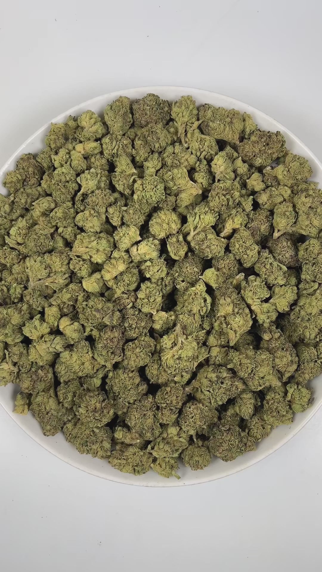 PUFFY Green Runtz is a indica-dominant hybrid THCa strain, originating from the fusion of Green Crack and Runtz. The aroma is a vibrant blend of fruity sweetness, sharp gassy notes, and a playful hint of candy. Visually, dense spring green buds with hints of purple are threaded with fiery orange pistils and coated in a sparkling layer of sticky trichomes. Consumers often report a euphoric and uplifting mood boost, accompanied by a stimulating wave of creativity and happiness, along with a relaxing body sens