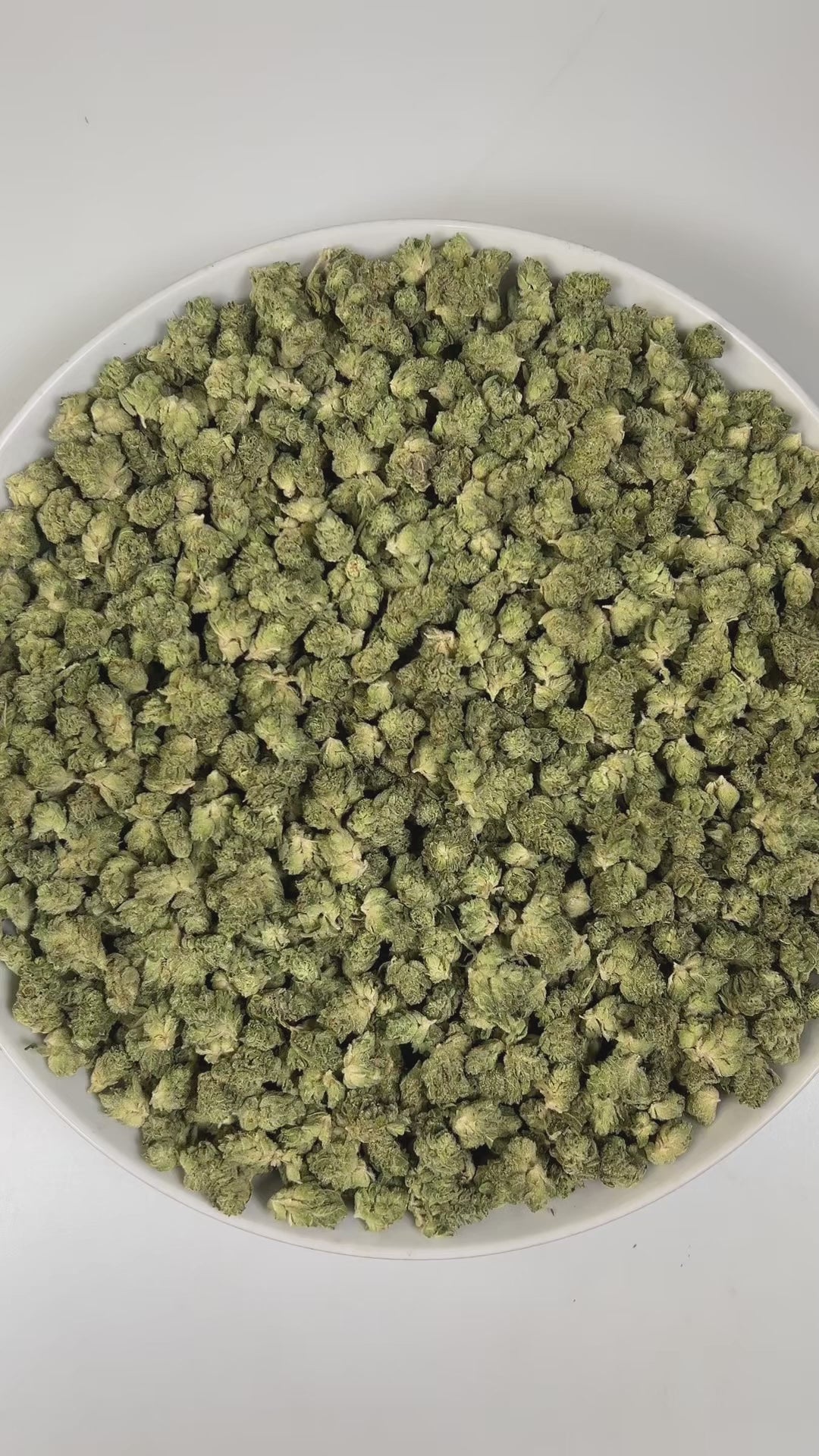 PUFFY Government Mule (smalls) is an indica-dominant hybrid THCa strain, born from the legendary pairing of G13 and Deep Chunk. The aroma is a rich blend of herbal notes, warm spices, and subtle hints of cedar, creating a soothing and earthy fragrance. Visually, dense green buds with hints of purple are threaded with fiery orange pistils and coated in a sparkling layer of sticky trichomes. Consumers often report a wave of happy, euphoric, and focused mental clarity accompanied by strong calming and deeply r