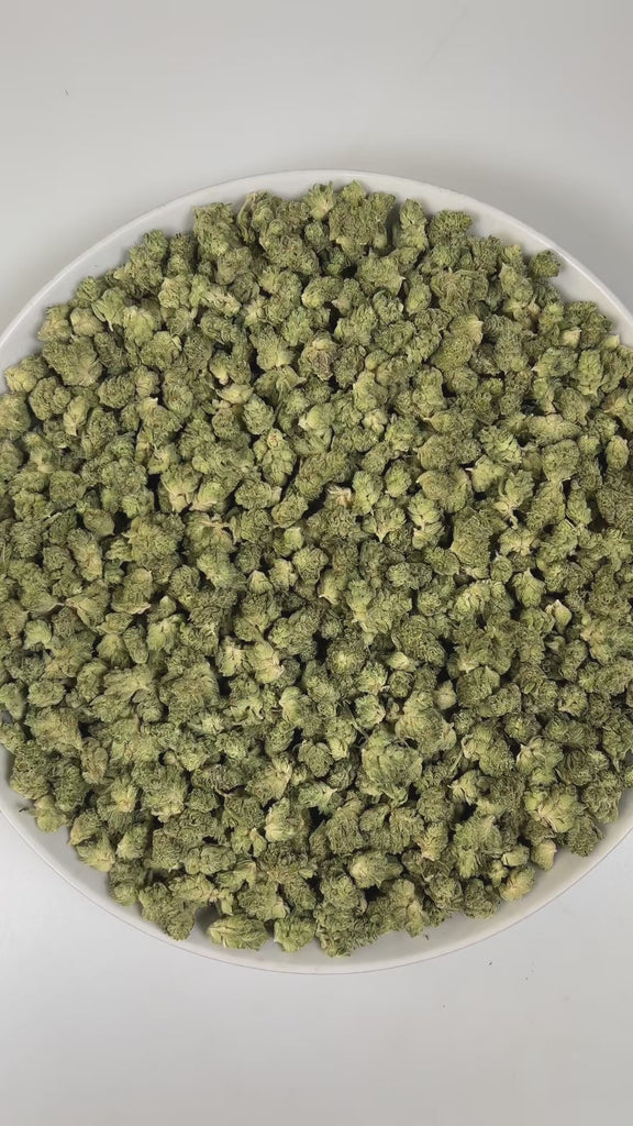 PUFFY Government Mule (smalls) is an indica-dominant hybrid THCa strain, born from the legendary pairing of G13 and Deep Chunk. The aroma is a rich blend of herbal notes, warm spices, and subtle hints of cedar, creating a soothing and earthy fragrance. Visually, dense green buds with hints of purple are threaded with fiery orange pistils and coated in a sparkling layer of sticky trichomes. Consumers often report a wave of happy, euphoric, and focused mental clarity accompanied by strong calming and deeply r