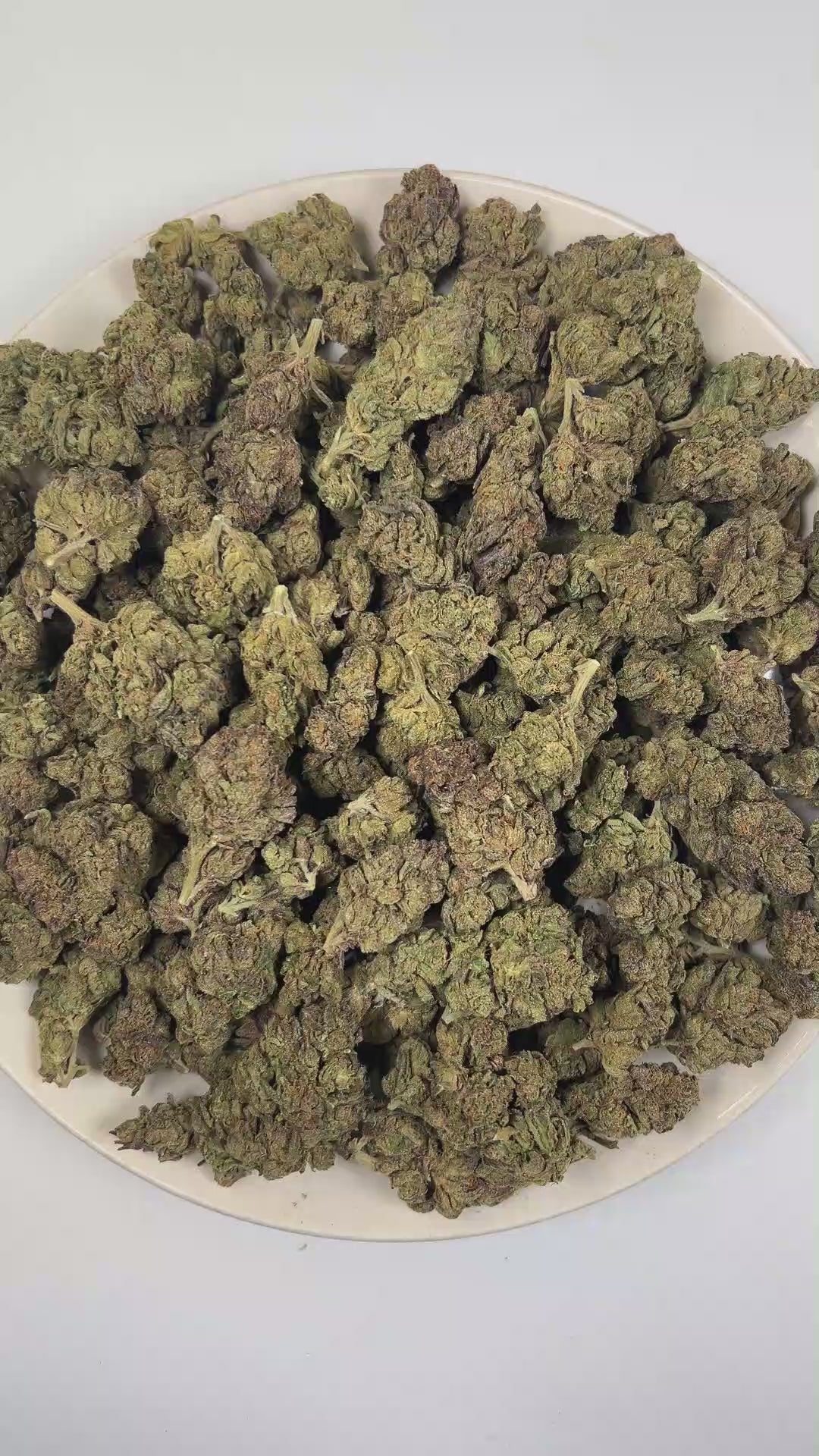 PUFFY Gushers is an indica-dominant hybrid THCa strain, created by expertly crossing Gelato #41 and Triangle Kush. The aroma opens with delicate floral notes, layered with a gentle sweetness and finished by rich, woody undertones for a smooth, well-balanced scent. Visually, the buds impress with dense forest-green hues and purple accents, orange pistils and frosty trichomes. Consumers often describe an initial surge of bright, euphoric energy that uplifts the mind, gradually easing into a soothing, full-bod