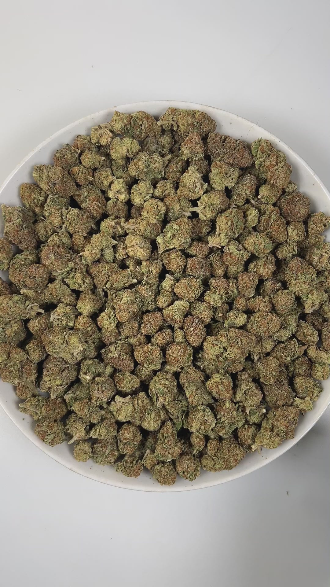 PUFFY Illemonati is a sativa-dominant hybrid THCa strain born from the flavorful union of Gelonade and Biscotti. The aroma bursts with bright lemon, enveloped in creamy richness and anchored by warm, woody undertones. Visually, medium to large dense conical buds display a blend of forest and lime greens with occasional purple swirls, coated in glistening trichomes and accented by fiery orange pistils. Consumers often describe the experience as bright and invigorating, sparking creativity, sharpening focus, 