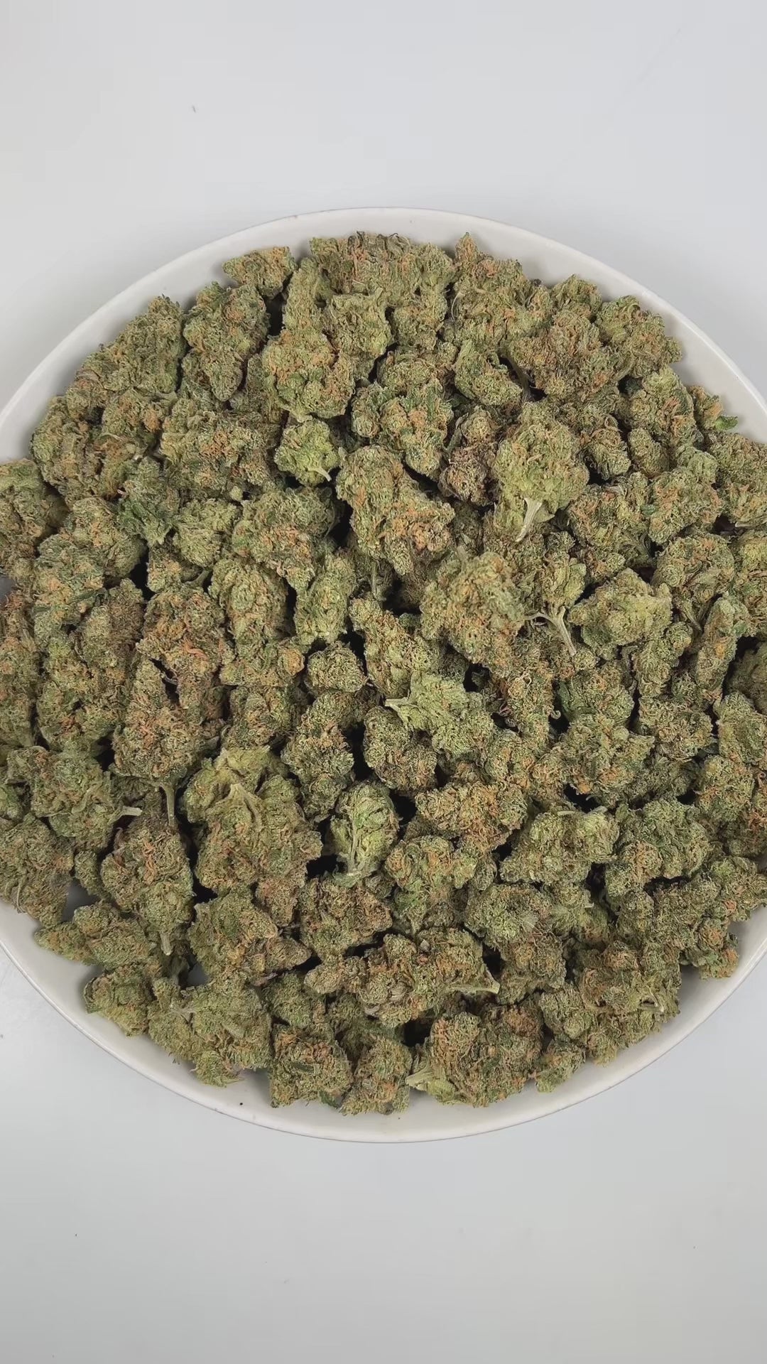 PUFFY Blue Dream is a sativa-dominant hybrid THCa strain born from the legendary cross between Blueberry and Haze. The aroma is a bold mix of Diesel, sharp chemicals, and sweet blueberries, leaving a distinct impression. Visually stunning, its dense, bright green buds are accented by deep blue hues, fiery orange pistils, and a generous dusting of icy trichomes making it as eye-catching as it is effective. Consumers often report a euphoric, uplifting head high that flows into a gentle, motivating body buzz, 