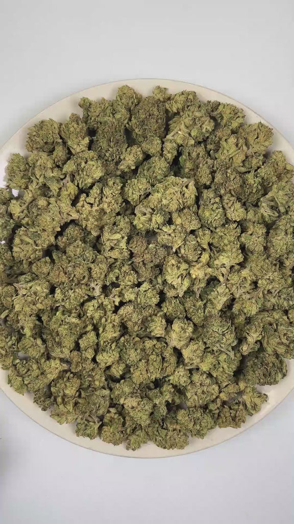 PUFFY Pow Wow is a sativa-dominant hybrid THCa strain, a balanced genetic program combining a Kush foundation with dessert-forward Gelato and Original Z influences. Aroma is a vibrant blend of ripe berries and juicy tropical fruit layered over a cool, refreshing mint finish. Visually, dense forest green buds with purple hues and fiery orange pistils are coated in sticky trichomes. Consumers often report a euphoric mood lift, an uplifting creative mental buzz that feels more socially open and mentally presen