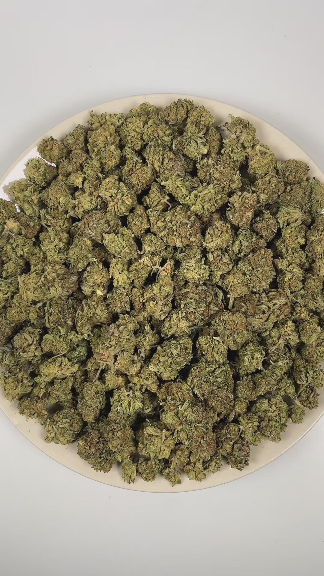 PUFFY Peanut Butter Breath is a balanced hybrid THCa strain bred through the genetic fusion of Do-Si-Dos and Mendo Breath. The aroma is rich and complex, blending smoky undertones with warm cedar and deep earthy notes. Visually, dense deep forest green buds with purple hues and fiery orange pistils are coated in sticky trichomes. Consumers often report feeling euphoric, relaxed, and calm, along with stress relief, full-body relaxation, and an increased appetite.