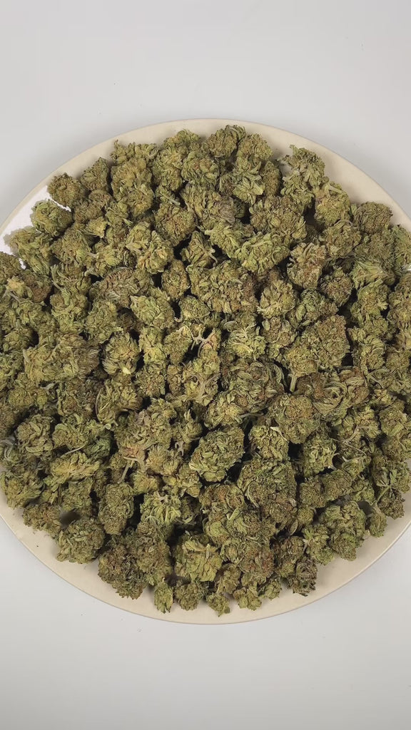 PUFFY Peanut Butter Breath is a balanced hybrid THCa strain bred through the genetic fusion of Do-Si-Dos and Mendo Breath. The aroma is rich and complex, blending smoky undertones with warm cedar and deep earthy notes. Visually, dense deep forest green buds with purple hues and fiery orange pistils are coated in sticky trichomes. Consumers often report feeling euphoric, relaxed, and calm, along with stress relief, full-body relaxation, and an increased appetite.