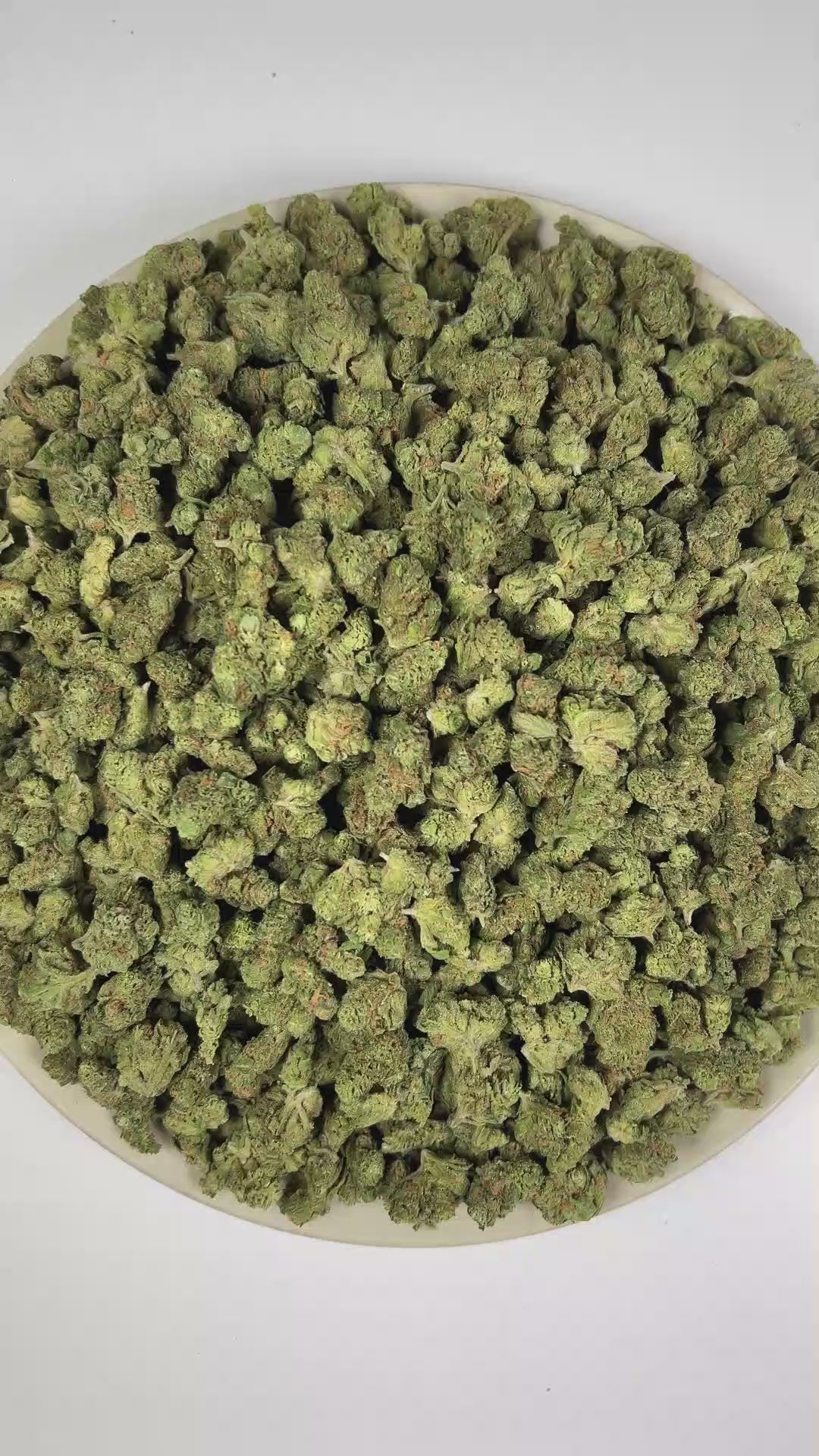 PUFFY Blue Dream (smalls) is a sativa-dominant hybrid THCa strain, crafted from the lush pairing of Blueberry and Haze. The aroma blends tropical fruit sweetness with zesty citrus notes and a bold fuel-like finish. Visually, dense forest green buds with purple hues and fiery orange pistils are coated in sticky trichomes. Consumers often report a euphoric, uplifting head high that flows into a gentle, motivating body buzz, perfect for clear, creative daytime energy.    