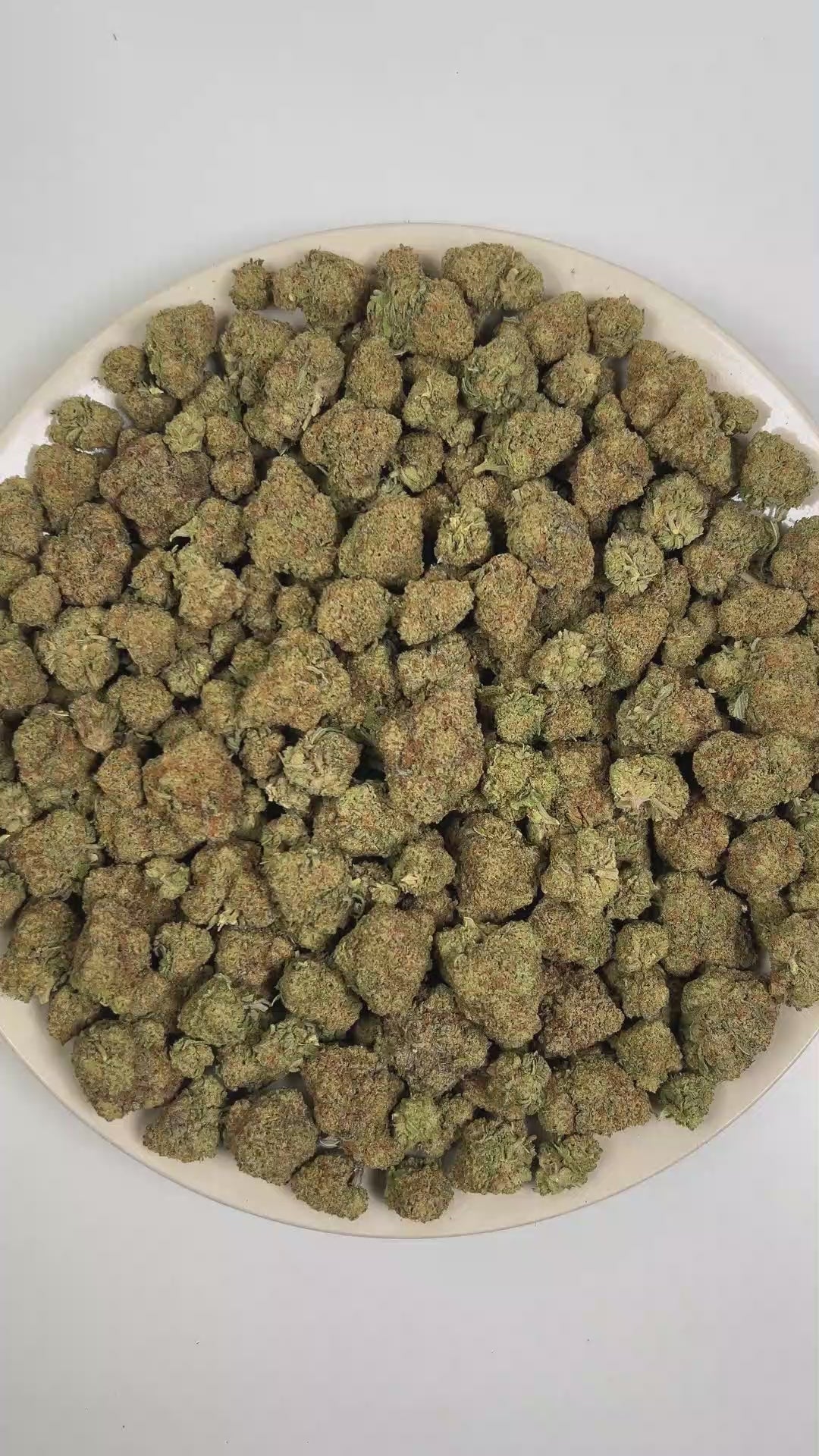 PUFFY Tiramisu is a sativa-dominant hybrid THCa strain, crafted from the decadent union of Wedding Cake and Gelato 45. The aroma is a rich blend of doughy, baked bread-like notes, soft sweetness, and smooth creamy undertones. Visually, dense forest green buds with purple hues and fiery orange pistils are coated in sticky trichomes. Consumers often report a euphoric, uplifted mood paired with bursts of energy, enhanced creativity, and focused mental clarity. 