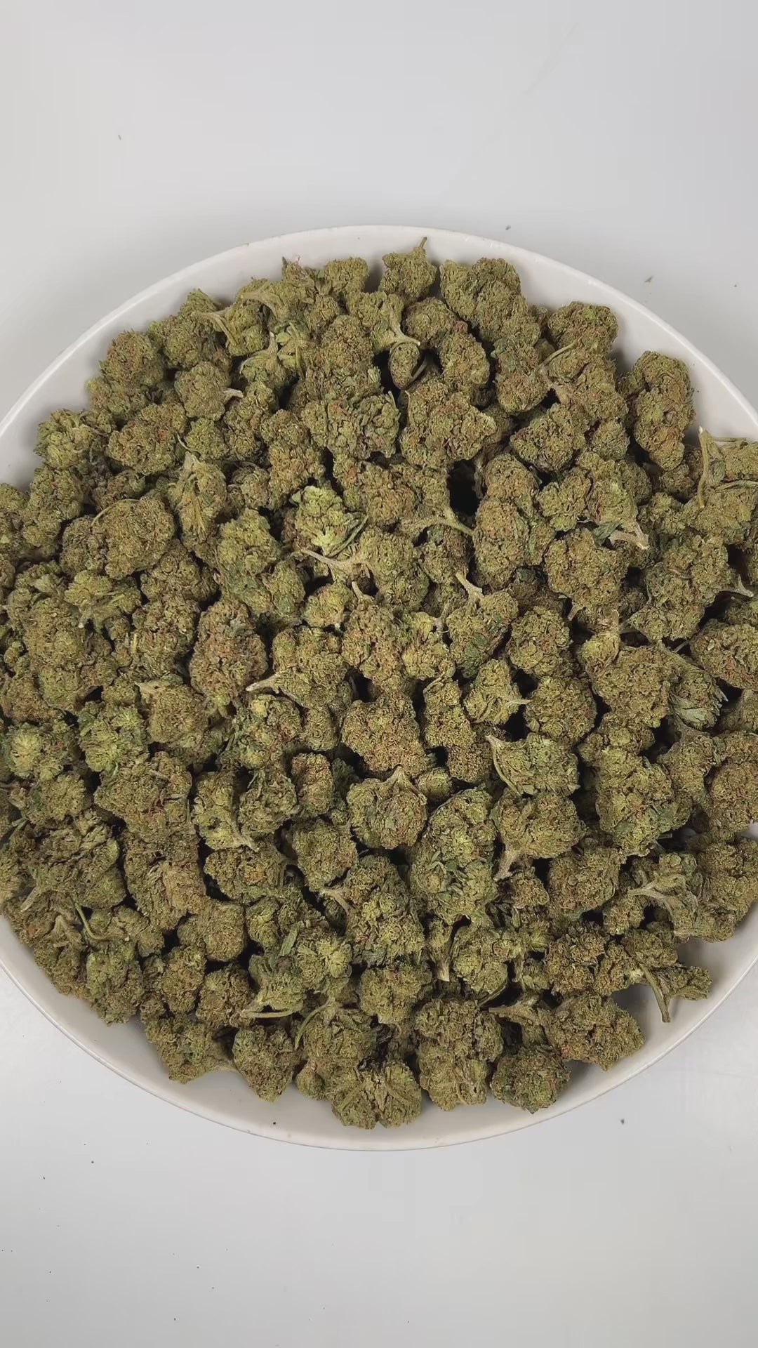 PUFFY Sour Tangie is a sativa-dominant hybrid THCa strain, hailing from the legendary genetics of East Coast Sour Diesel and Tangie. The aroma is a bright and zesty blend of tangerine and orange, softened by a smooth, creamy undertone. Visually, the dense buds display rich forest-green tones with hints of purple, accented by vibrant orange pistils and enveloped in a frosty layer of trichomes. Consumers often report a cerebral, uplifting head high that sparks euphoria, focus, and inspiration, accompanied by 