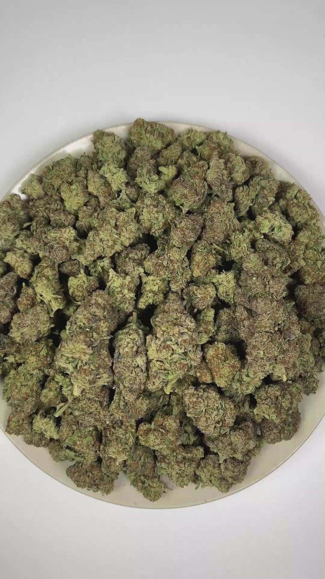 PUFFY Sour Tarts is a balanced hybrid THCa strain, crafted from the exquisite blend of Di Frutti and Karma Sour Diesel BX2. The aroma opens with a zesty burst of lemon, complemented by pungent diesel notes and a deep, earthy musk. Visually, dense forest green buds with purple hues and fiery orange pistils are coated in sticky trichomes. Consumers often report a euphoric lift in mood, an uplifting sense of well-being, enhanced creative flow, and a soothing wave of relaxation for a refined, harmonious experie
