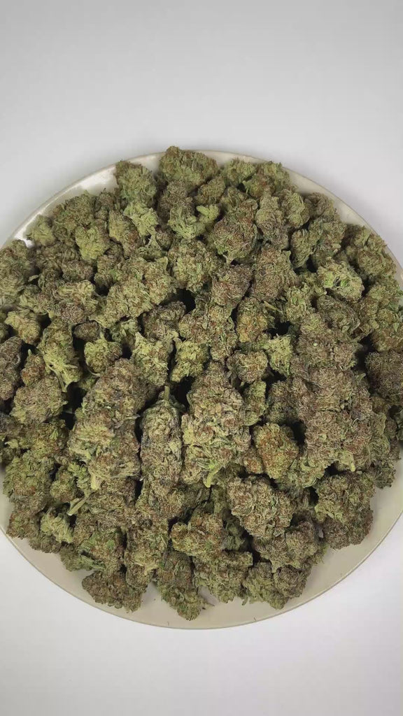PUFFY Sour Tarts is a balanced hybrid THCa strain, crafted from the exquisite blend of Di Frutti and Karma Sour Diesel BX2. The aroma opens with a zesty burst of lemon, complemented by pungent diesel notes and a deep, earthy musk. Visually, dense forest green buds with purple hues and fiery orange pistils are coated in sticky trichomes. Consumers often report a euphoric lift in mood, an uplifting sense of well-being, enhanced creative flow, and a soothing wave of relaxation for a refined, harmonious experie
