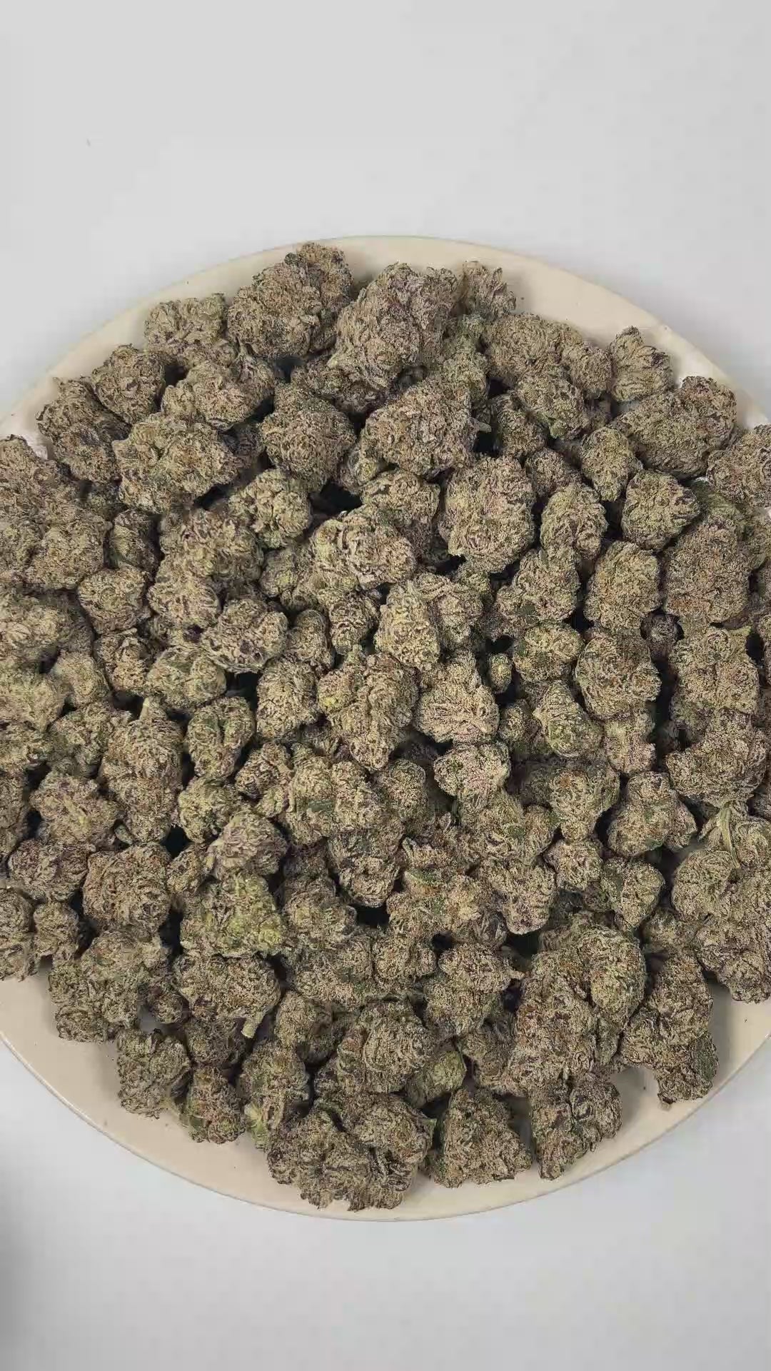 PUFFY Gelato Pop is an indica-dominant hybrid THCa strain created by selectively blending Gelato and Triangle Kush. The aroma is a bold fusion of gassy sharpness, ripe fruity sweetness, and layered herbal undertones. Visually, dense forest green buds with purple hues and fiery orange pistils are coated in sticky trichomes. Consumers often report an uplifting blend of euphoria, soothing relaxation, elevated mood, effective stress relief, and calming anxiety-reducing effects. 
