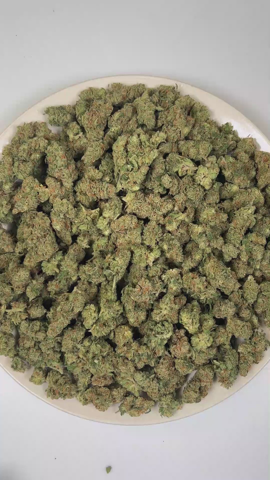 PUFFY Lemon Jack is a sativa-dominant hybrid THCa strain created through the dynamic cross of Jack Herer and  Lemon Kush. Aroma is dominated by deep fuel fumes layered with tar-like asphalt and sharp chemical undertones. Visually, dense green buds with purple hues and fiery orange pistils are coated in sticky trichomes. Consumers often report a clear-headed sense of inspiration, heightened creativity, and a surge of motivation that keeps both mind and body engaged. 