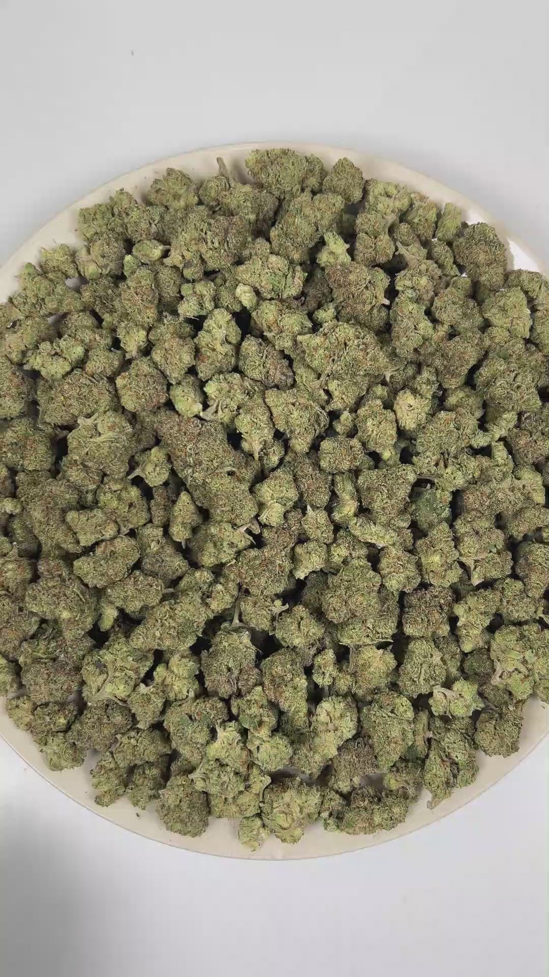 Garlic THCa Flower (Indoor) (Indica Hybrid) – 3