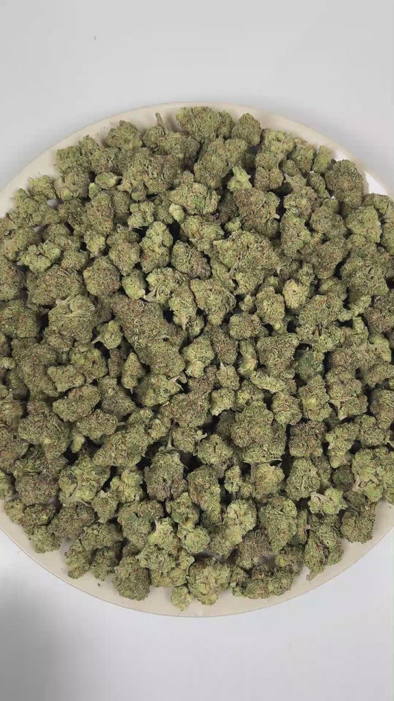 Garlic THCa Flower (Indoor) (Indica Hybrid) – 3