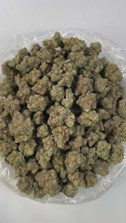 PUFFY Honey Bun is a balanced hybrid THCa strain created from the cross of Gelatti and Honey B. It offers a distinct and complex aroma profile, blending gassy notes with a sweet undertone and a sharp hint of chemical accents. Visually, the buds are dense and range from light to mid-green, generously coated in frosty trichomes and adorned with vibrant orange pistils. Consumers often report an immediate head high characterized by euphoria, an uplifted mood, and a tingling sensation. This cerebral stimulation 