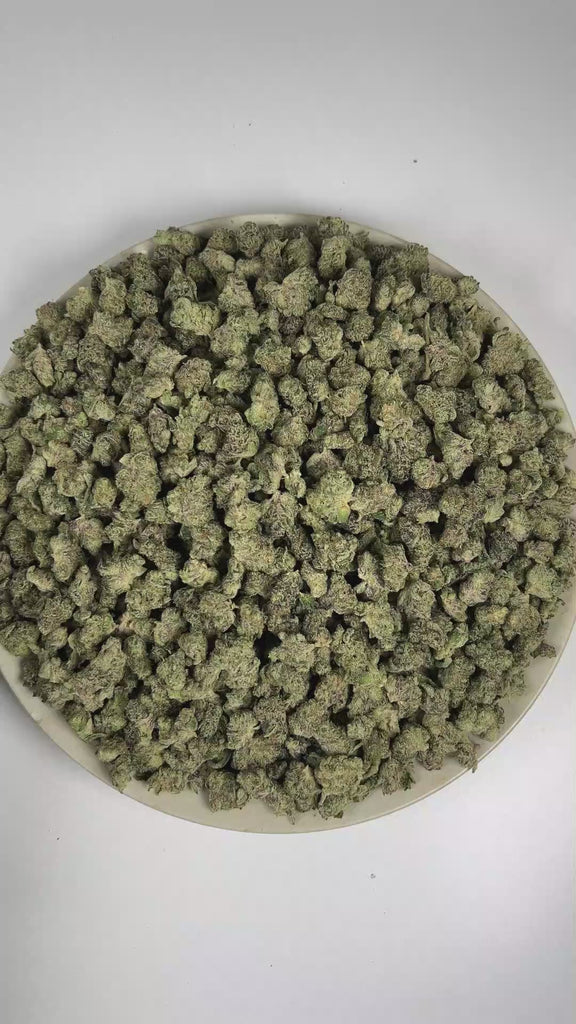 PUFFY Blue Zoap (smalls) is a balanced hybrid THCa strain expertly bred from the distinctive pairing of Blue 16 and Zoap. The aroma is a refined harmony of vibrant fruit, ripe berries, and elegant tartness. Visually, dense forest green buds with purple hues and fiery orange pistils are coated in sticky trichomes. Consumers often report feeling euphoric and relaxed, accompanied by a calming sense of ease and a noticeable increase in appetite. 