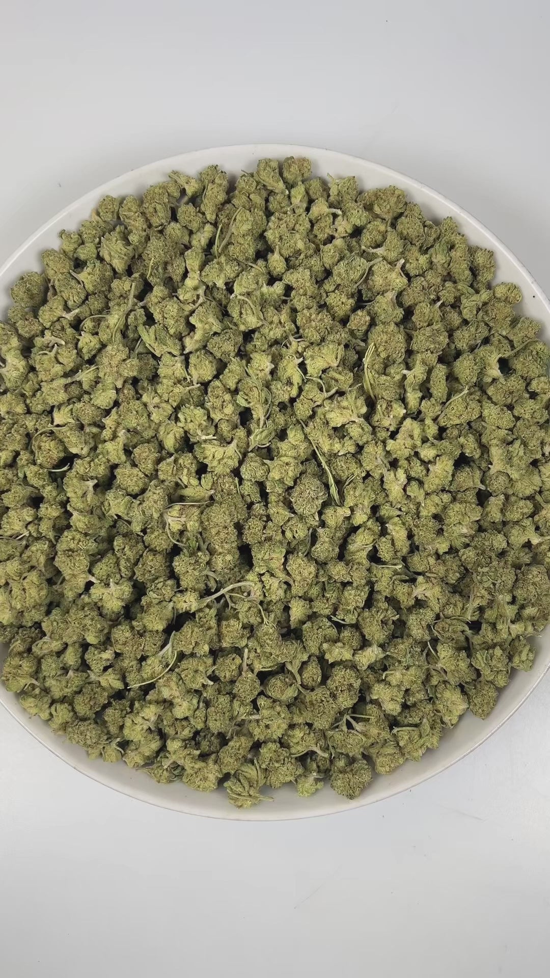 PUFFY Pleazure (smalls) is a balanced hybrid THCa strain created through the refined union of Dweebz and ZHit. The aroma is a tropical delight, bursting with juicy melons, ripe papaya, and a subtle hint of creamy coconut. Visually, dense spring green buds with purple hues and fiery orange pistils are coated in sticky trichomes. Consumers often report a euphoric, uplifting sense of mental clarity paired with a smooth, calming body relaxation that leaves them feeling balanced and refreshed.
